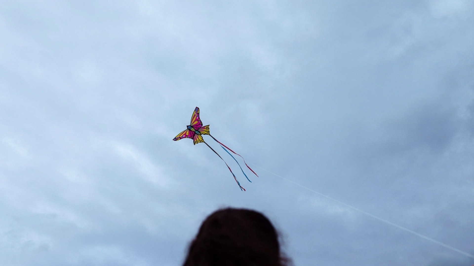Immagine di Vietato far volare gli aquiloni: bimbi fermati dalla polizia