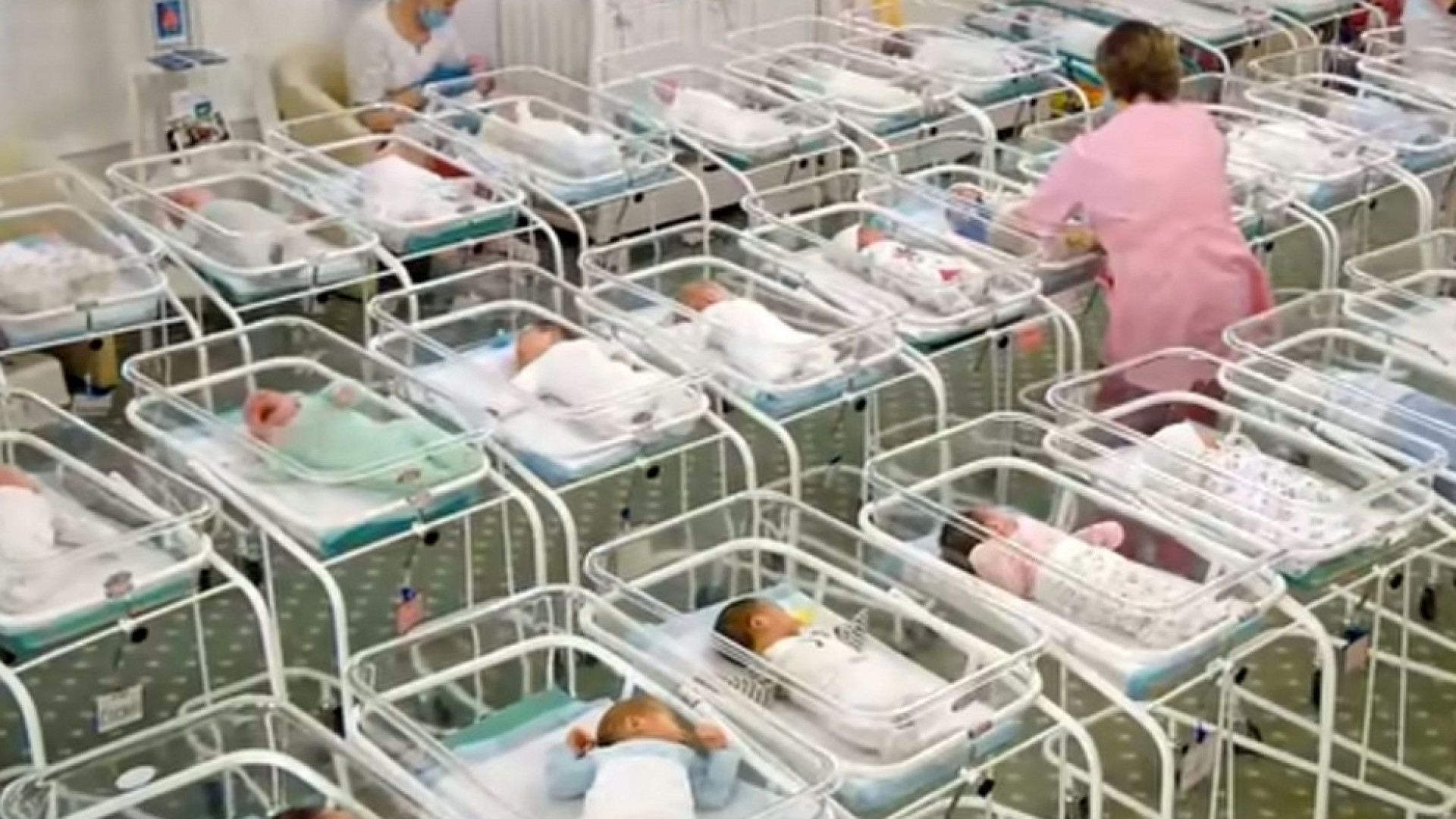 Immagine di In Russia 1.000 figli dell'utero in affitto "parcheggiati" senza genitori