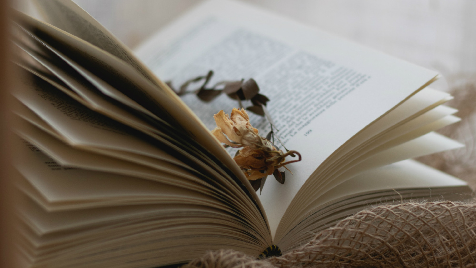 Immagine di Un libro in valigia nell’estate del Covid