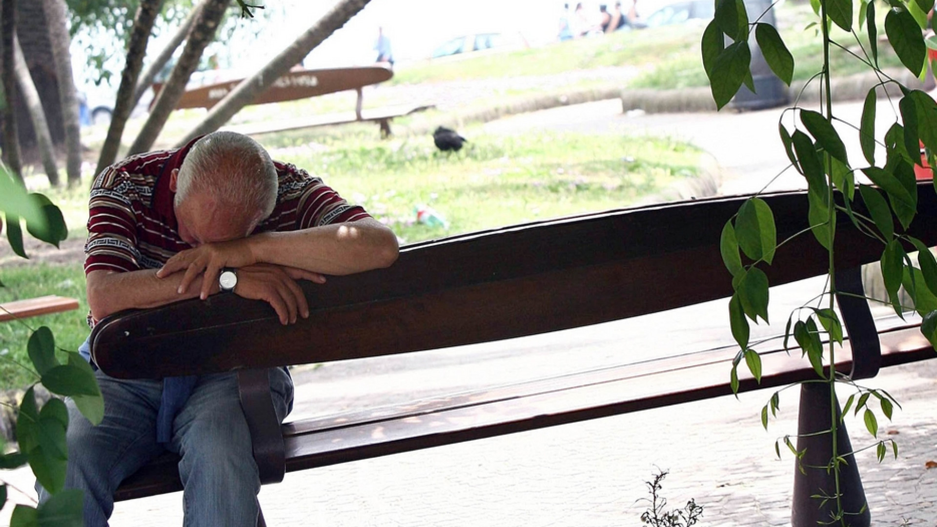 Immagine di Pubblicità choc: «Se vuoi morire rivolgiti a noi»