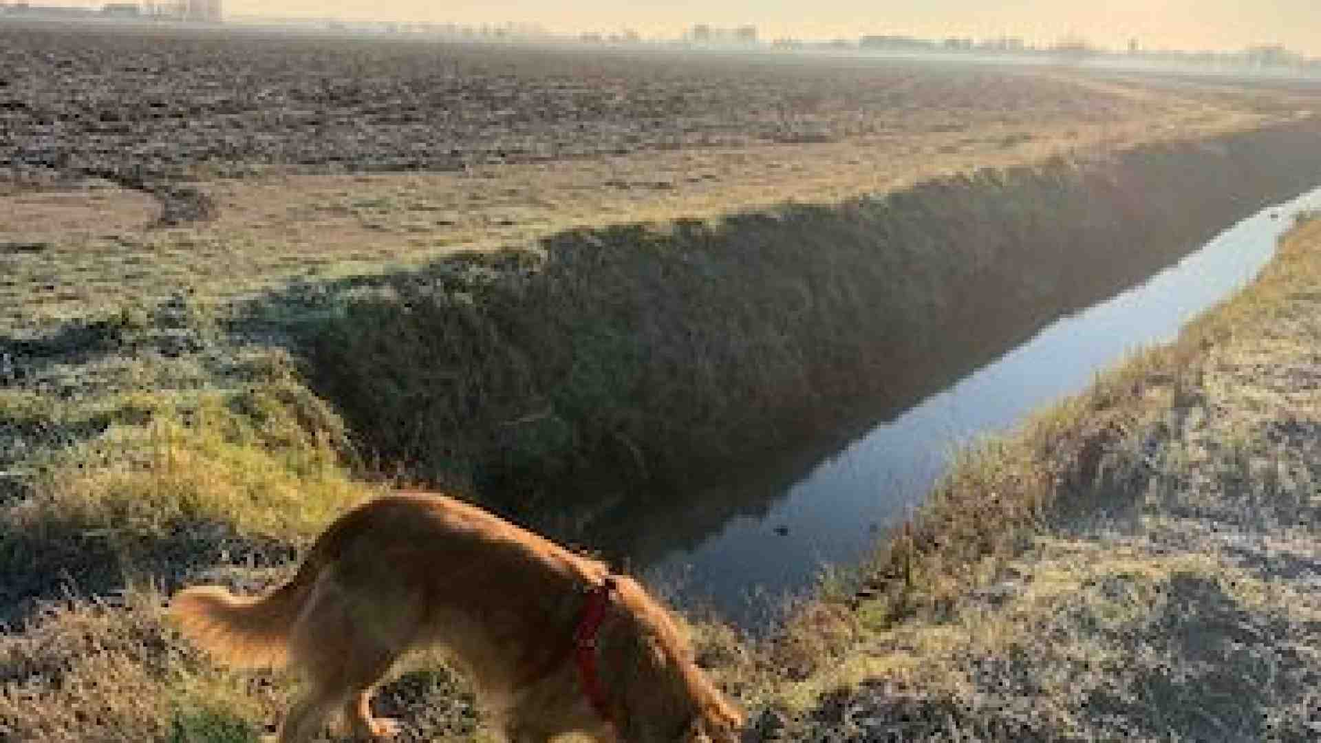 Immagine di Insolita Concamarise tra natura, ville e chiesette