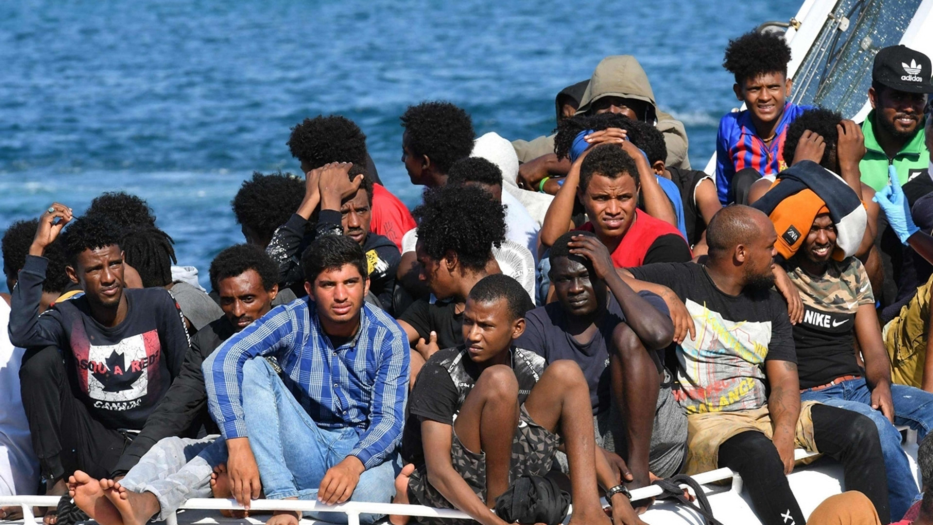 Immagine di Cani mangiati a Lampedusa dai migranti: ecco perché è una bufala