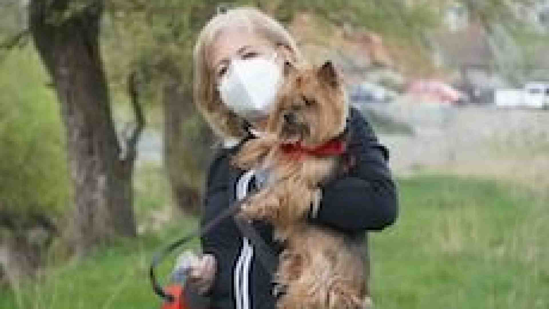 Immagine di Anche i nostri cani e gatti hanno sofferto del sottosopra causato dal Coronavirus