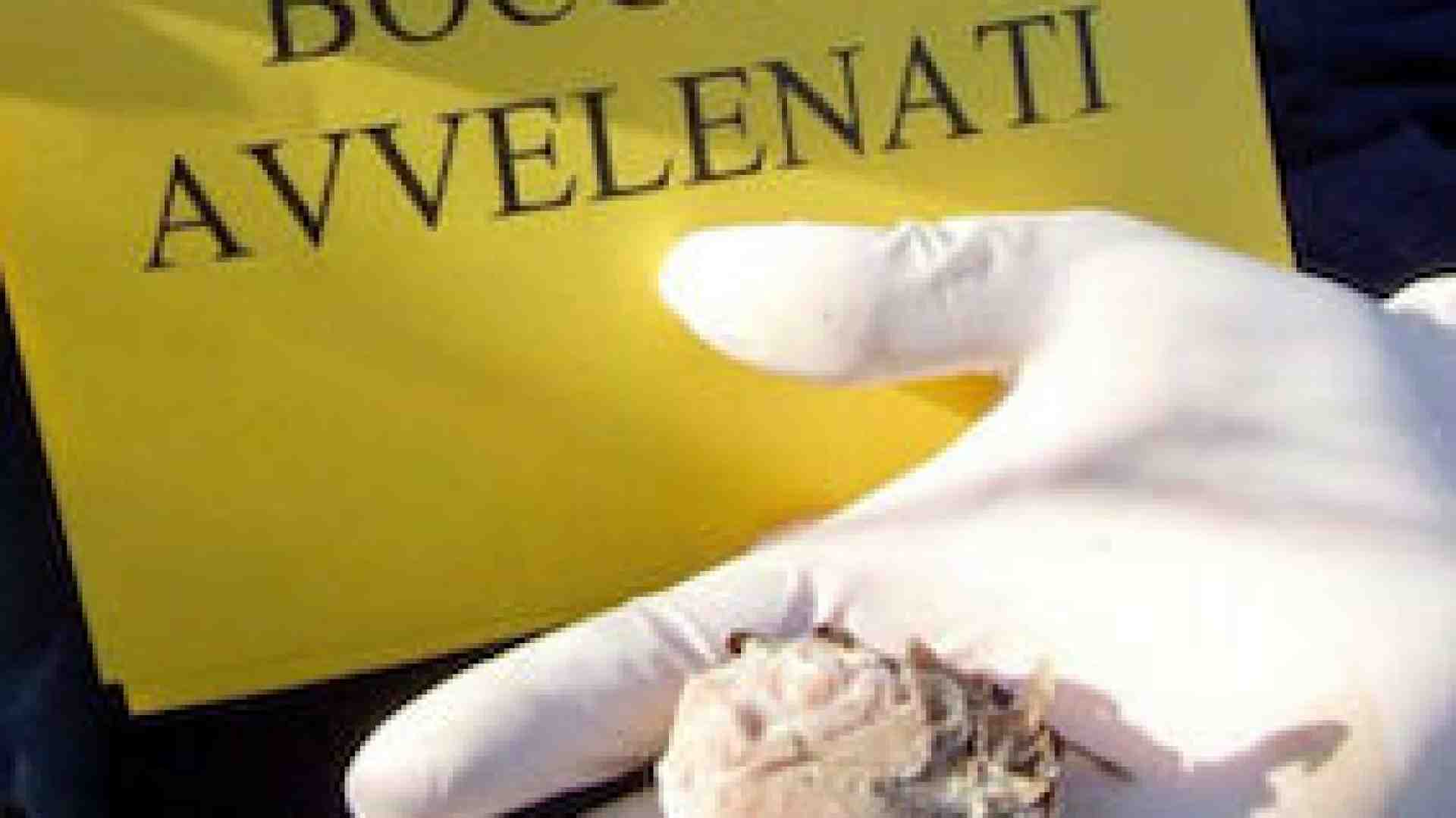 Immagine di La piaga dei bocconi avvelenati e le dure punizioni per gli avvelenatori