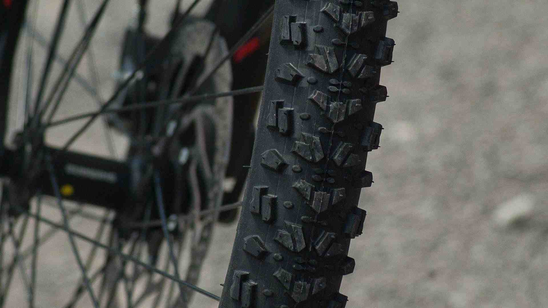 Immagine di Domenica 30 agosto torna la Bardolino Bike