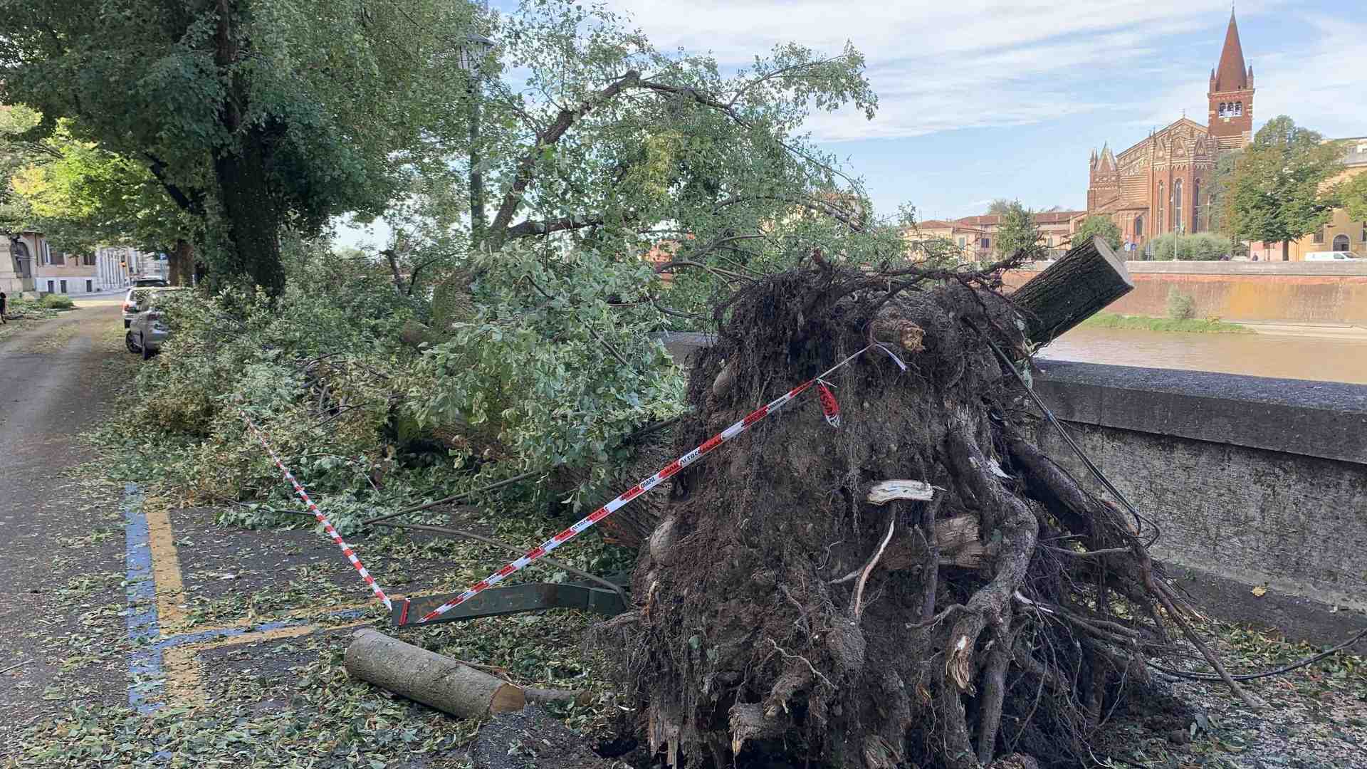 Immagine di Verona sott'acqua: indaghiamo le cause di questi disastri