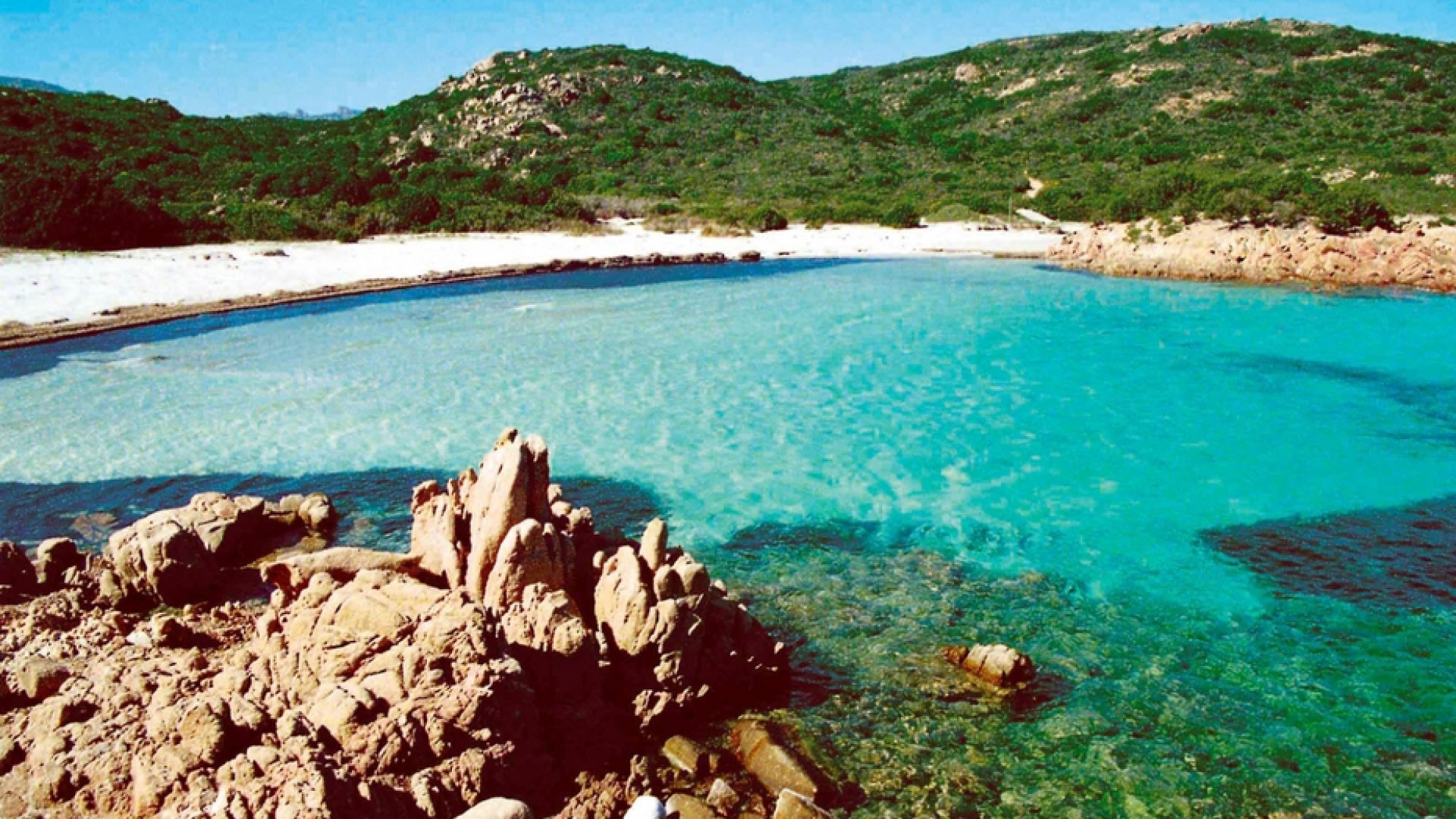 Immagine di «Durante il ricovero per Covid ho capito la sfida ecologica»