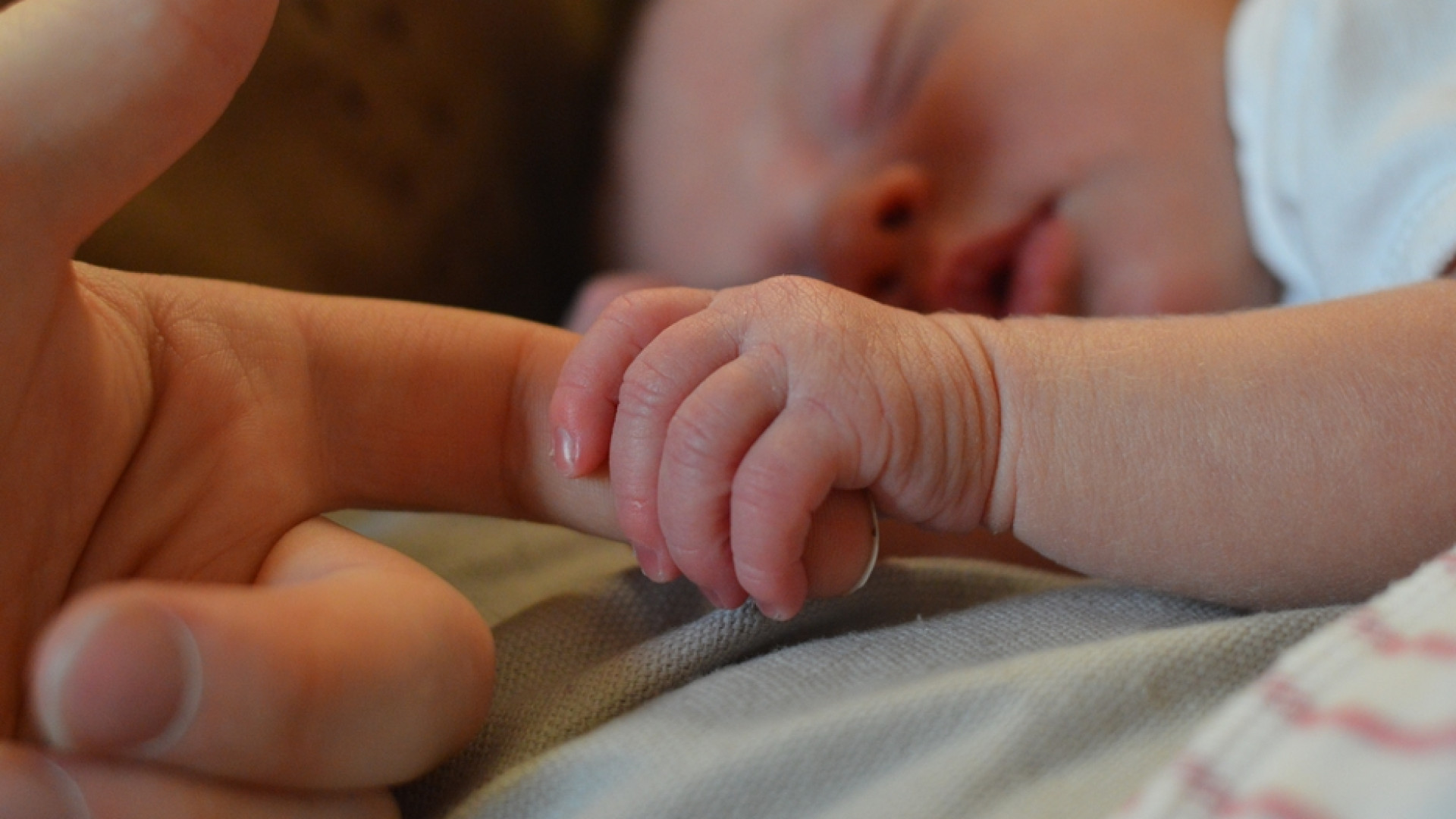 Immagine di Appello di 50 associazioni cattoliche: nelle Regioni scelte per la vita
