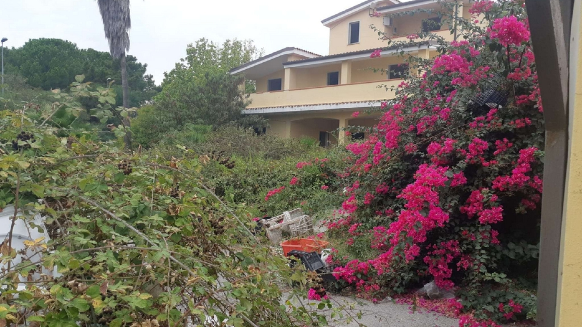 Immagine di La villa dei boss mai diventata un'aula