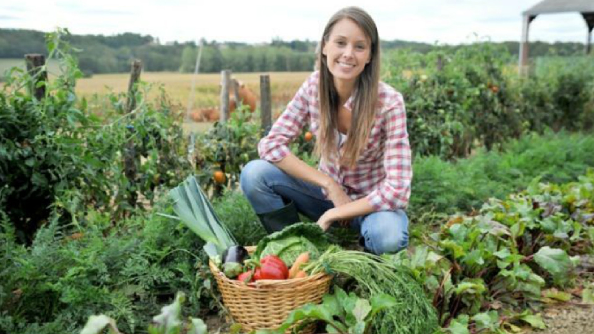 Immagine di Al via il corso triennale per diventare Operatore Agricolo e per imparare a gestire un’azienda a indirizzo orticolo