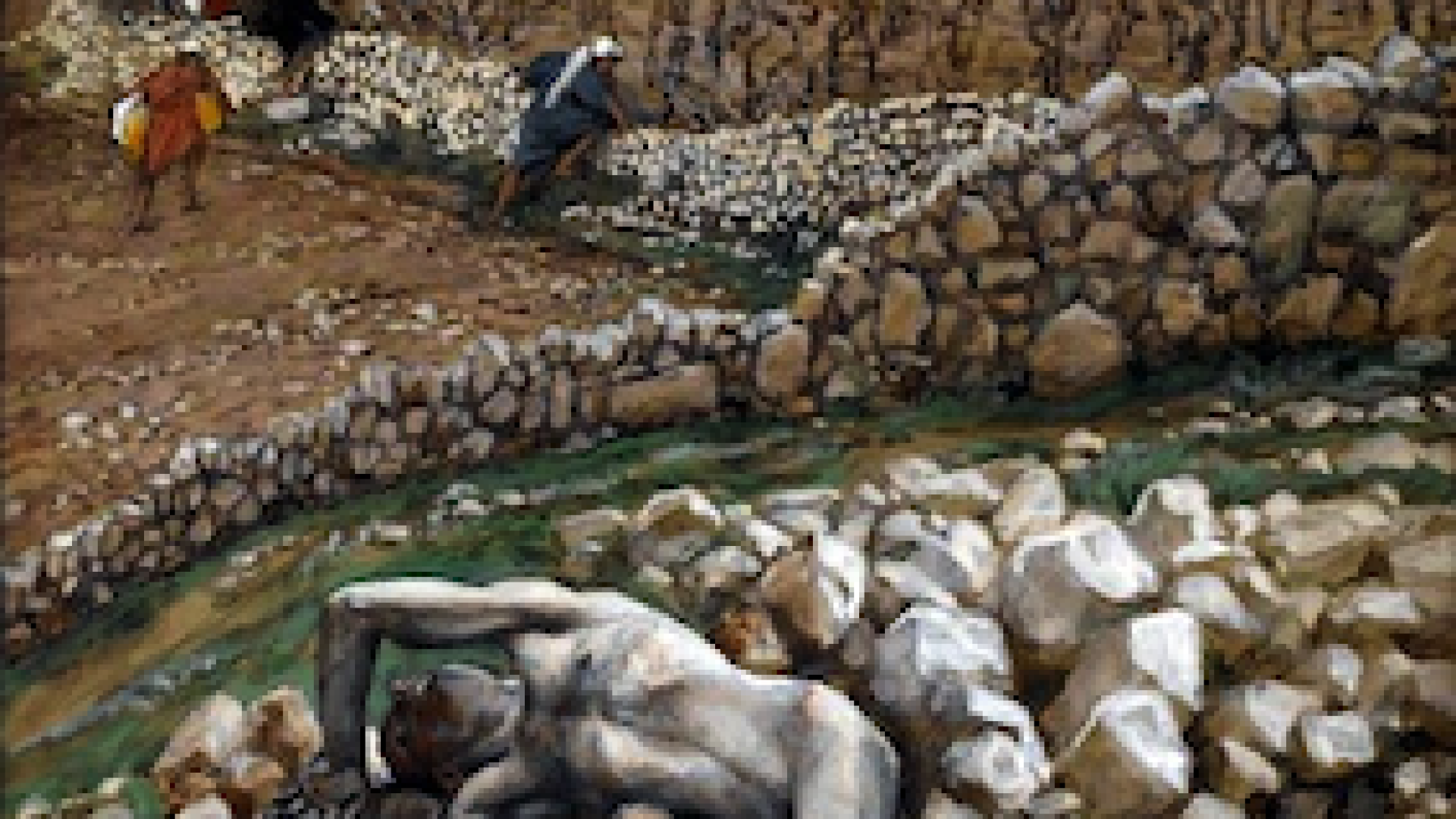 Immagine di Custodire la vigna è dono e impegno per tutti