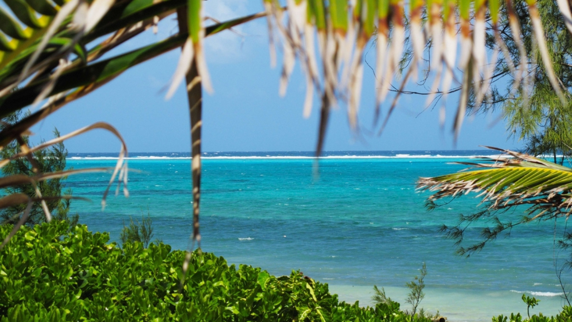 Immagine di La nuova lista Ue dei paradisi fiscali: via le Cayman, entrano le Barbados