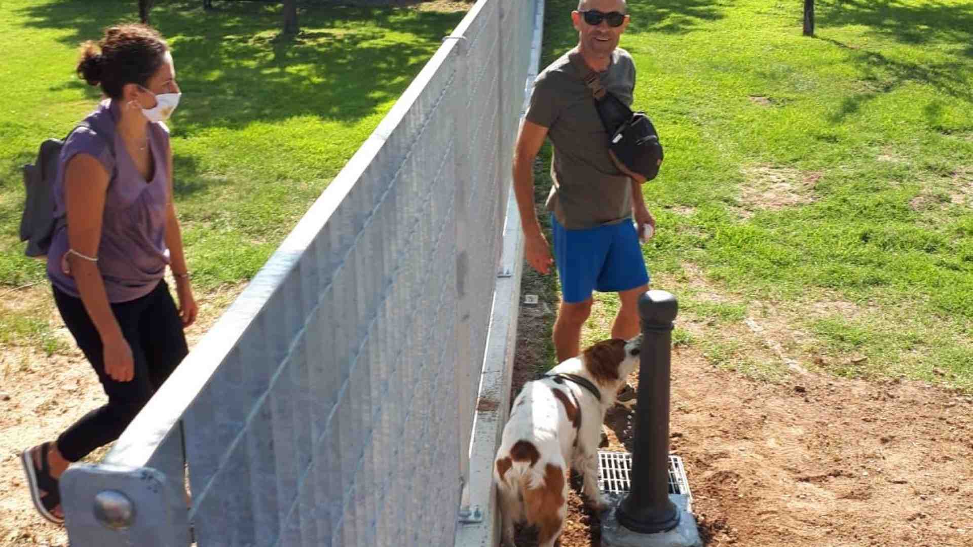 Immagine di Qui il Comune si rivela "amico del cane"
