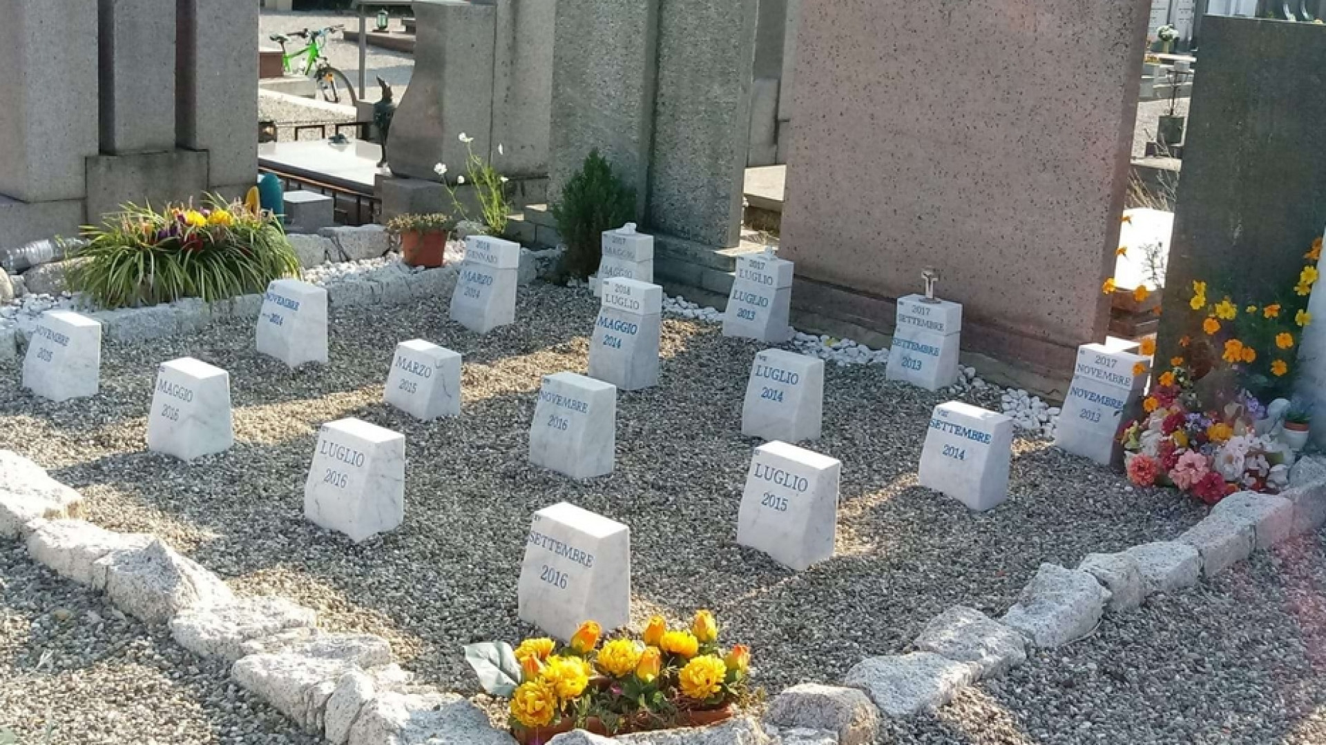 Immagine di Bambini abortiti, «vite umane, non spazzatura»
