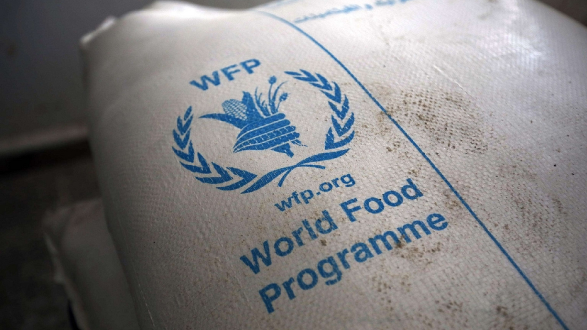 Immagine di Assegnato al programma alimentare mondiale delle Nazioni Unite