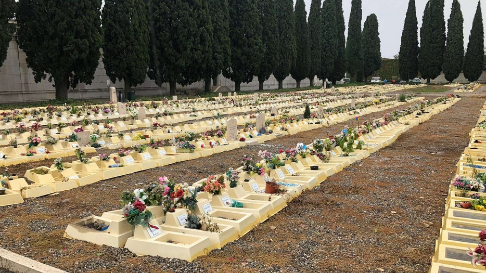 Immagine di "Sepolture di feti non anonime colpa del Movimento per la Vita". Notizia falsa