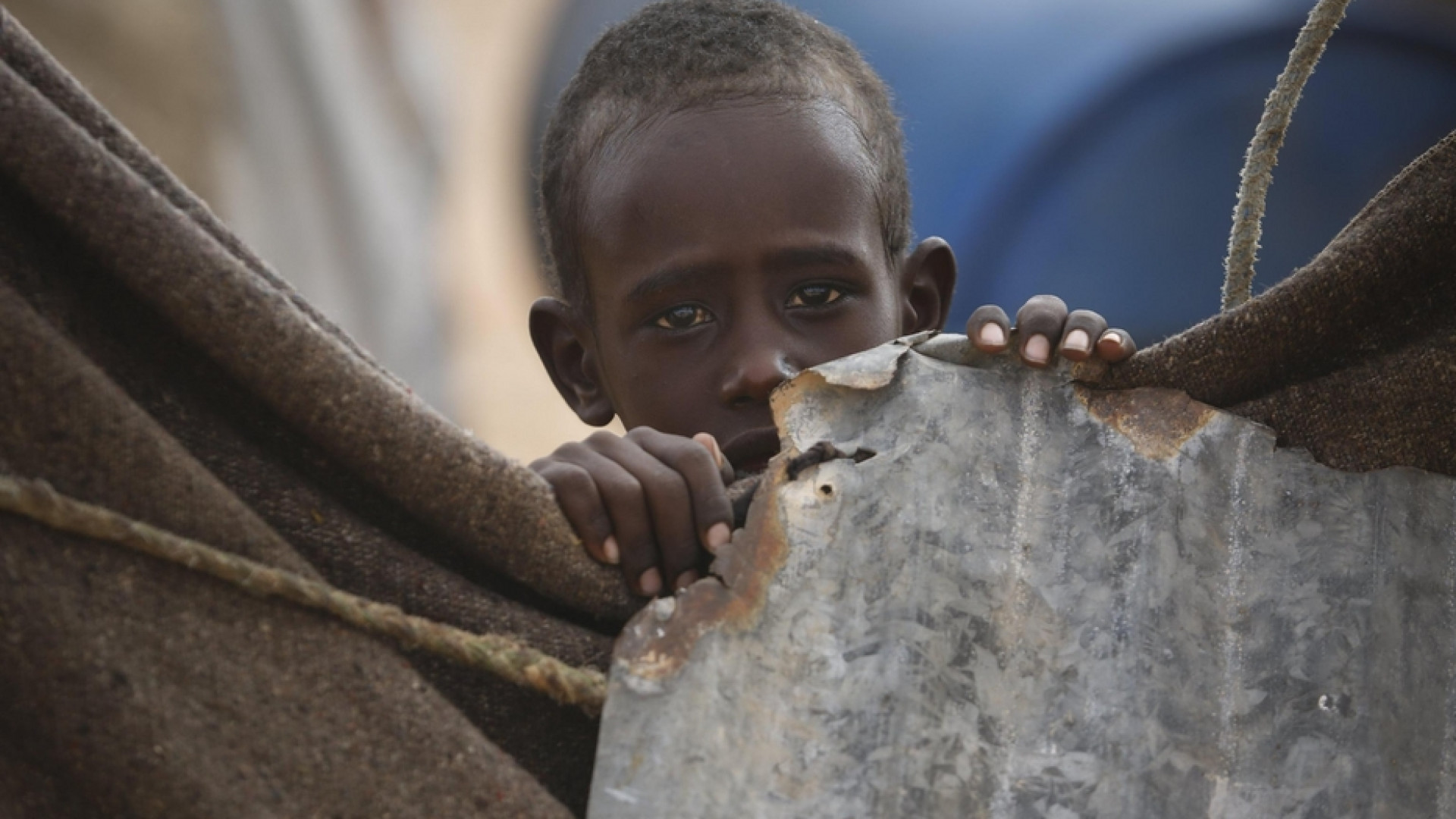 Immagine di Somalia, un milione in fuga nel 2020