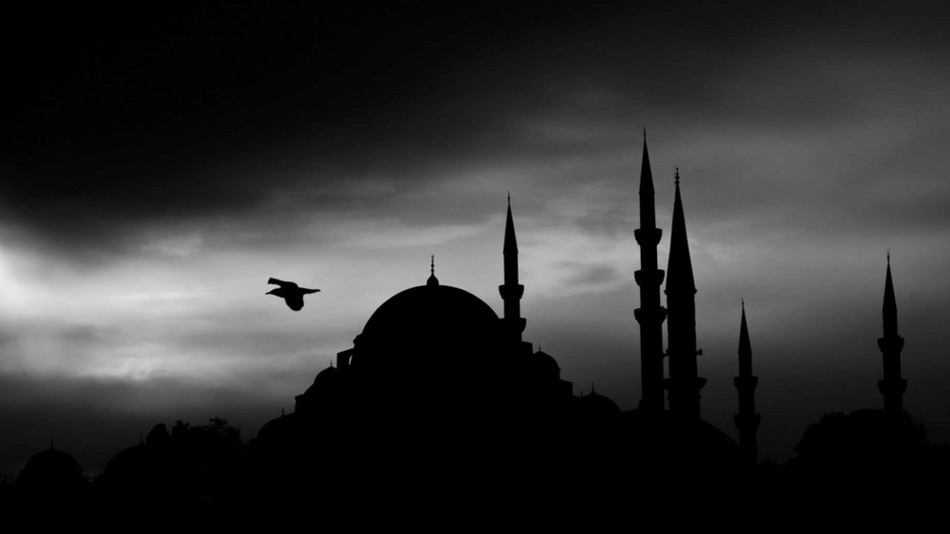 Immagine di Le radici della crisi dell'islam tra jihadismo e islamofobia