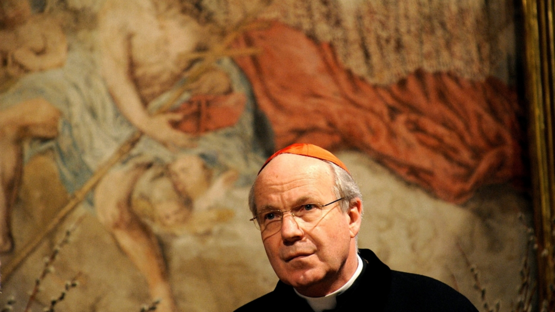 Immagine di Il cardinale Schönborn: «L'unica risposta all'odio è la solidarietà»