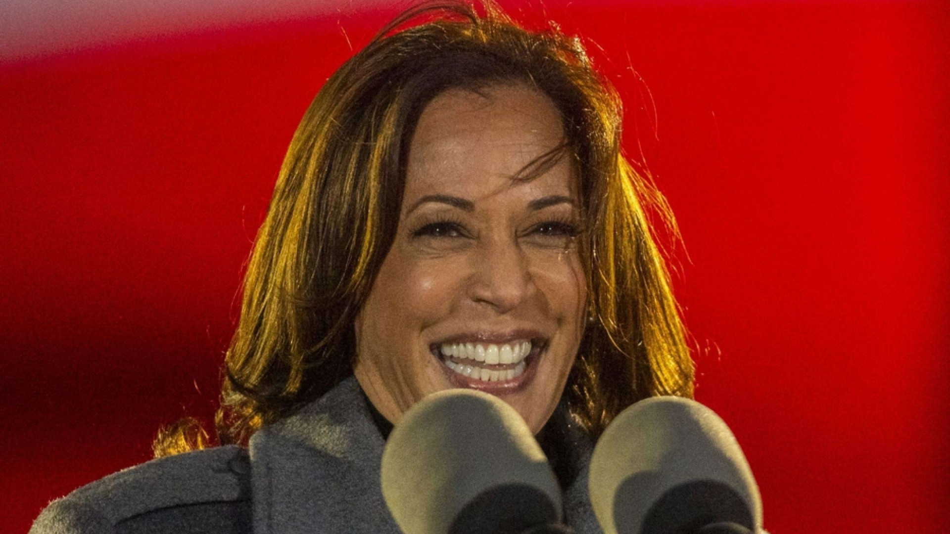 Immagine di Kamala Harris, chi è la prima donna vicepresidente degli Stati Uniti