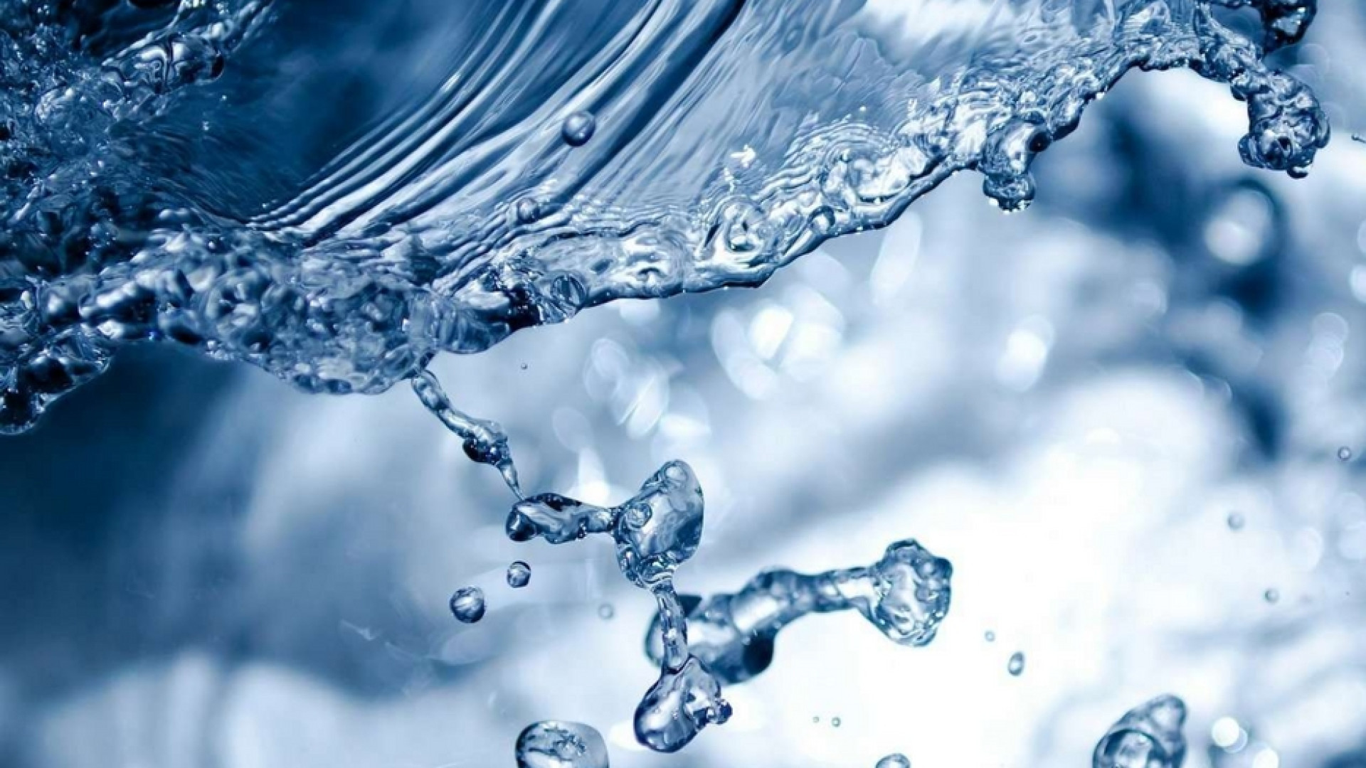 Immagine di Impegno a difendere l'acqua e il lavoro della terra