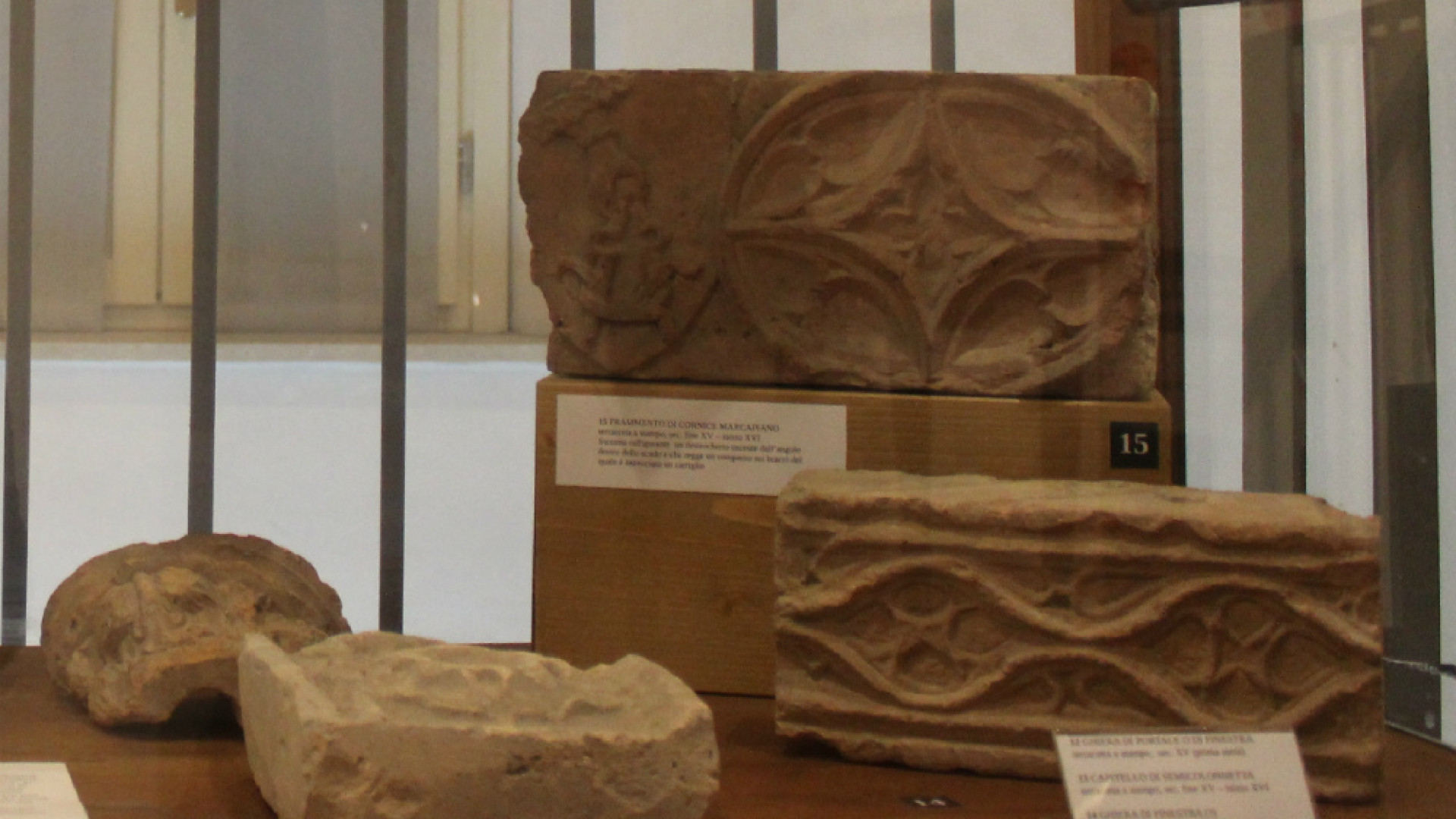 Immagine di Il “museo dei cocci” racconta la nostra storia