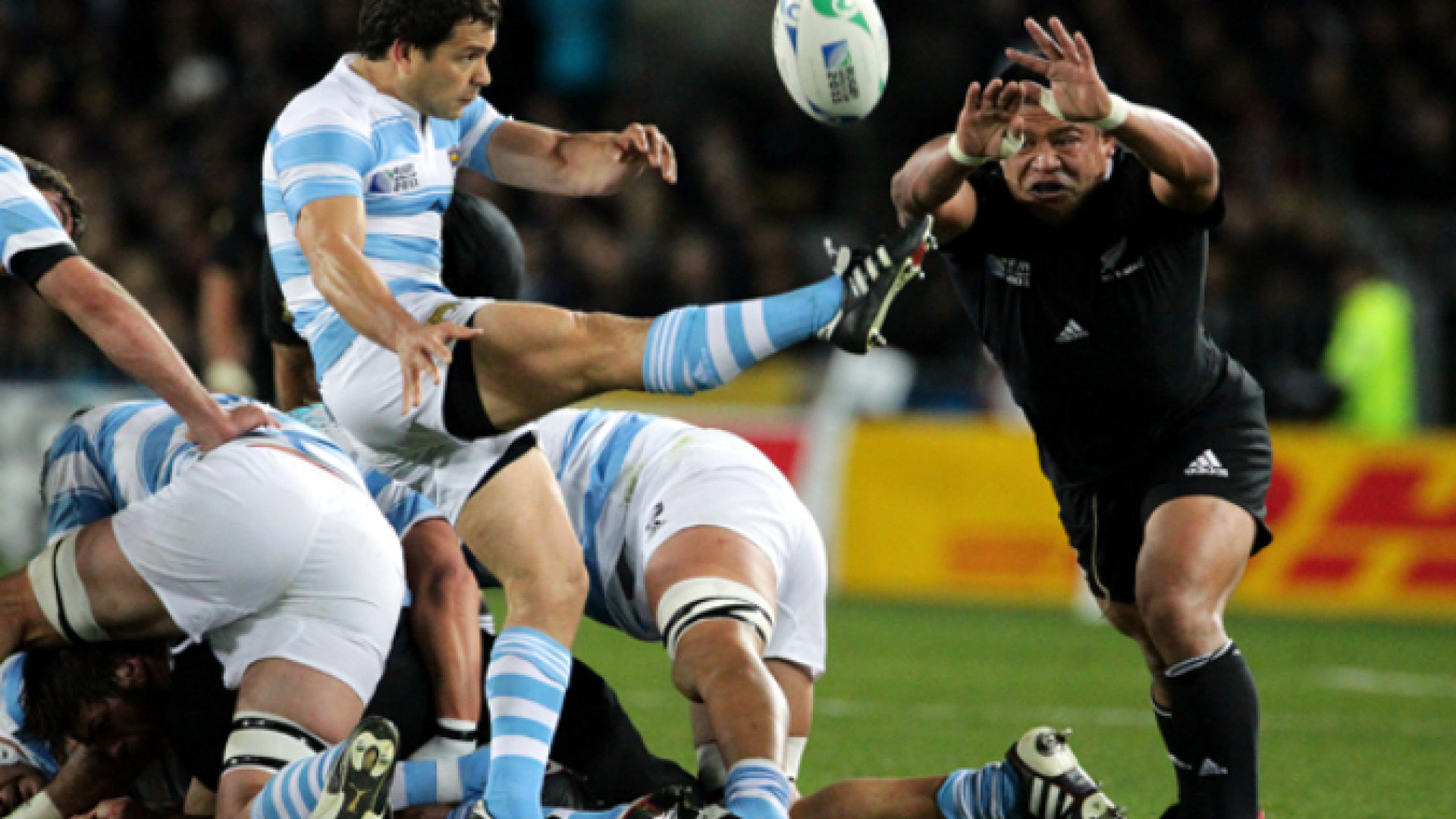 Immagine di Le macchie dei Pumas: i trionfi e le ombre dell'Argentina del rugby
