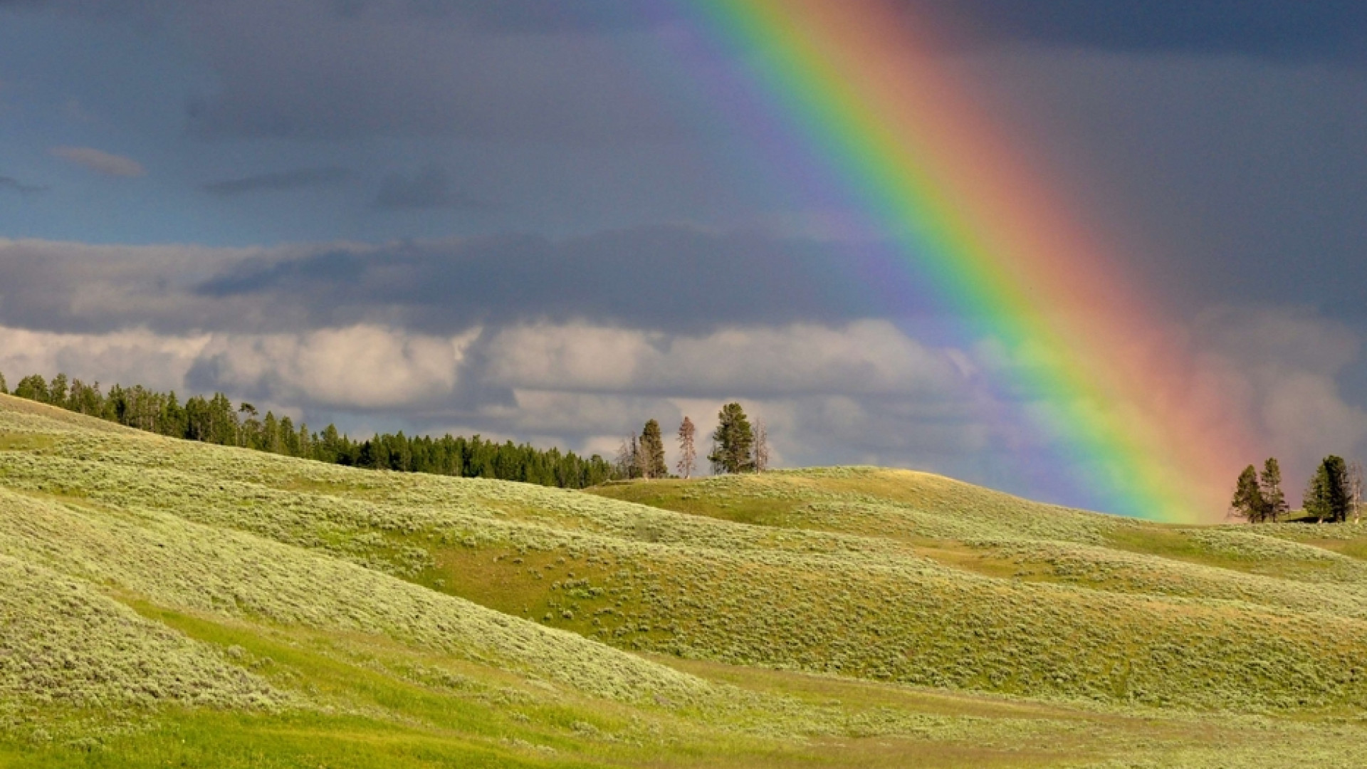 Immagine di Se l'arcobaleno insegna che cosa sia la presenza