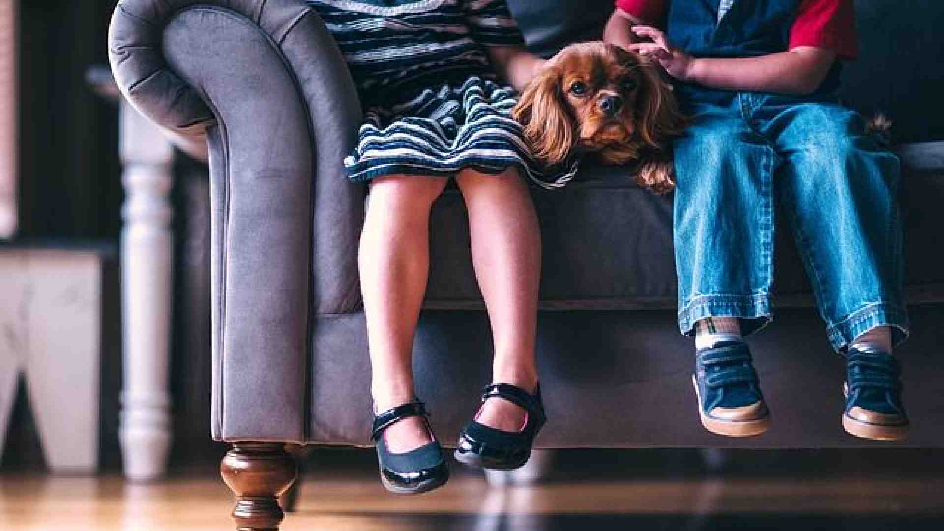 Immagine di Il Children’s Museum luogo di terapia per bimbi con fragilità