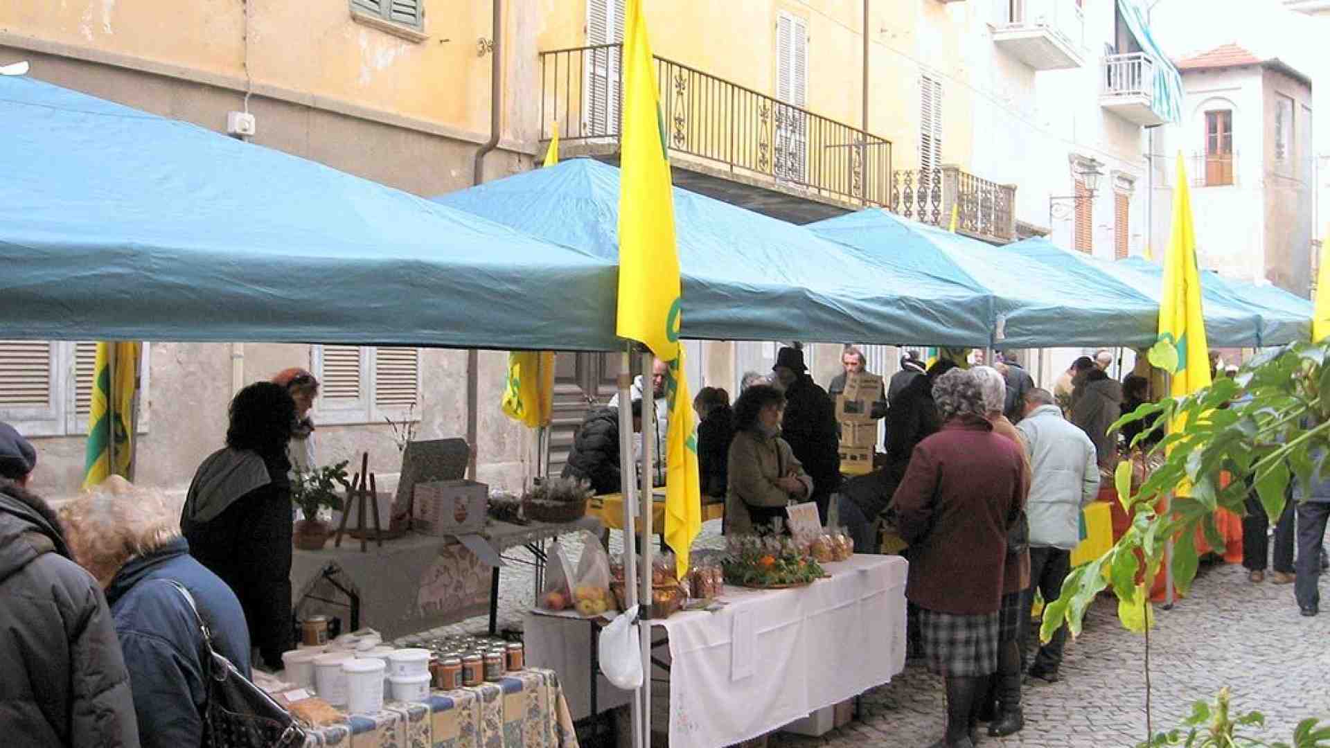 Immagine di Piccolo non è sempre bello
