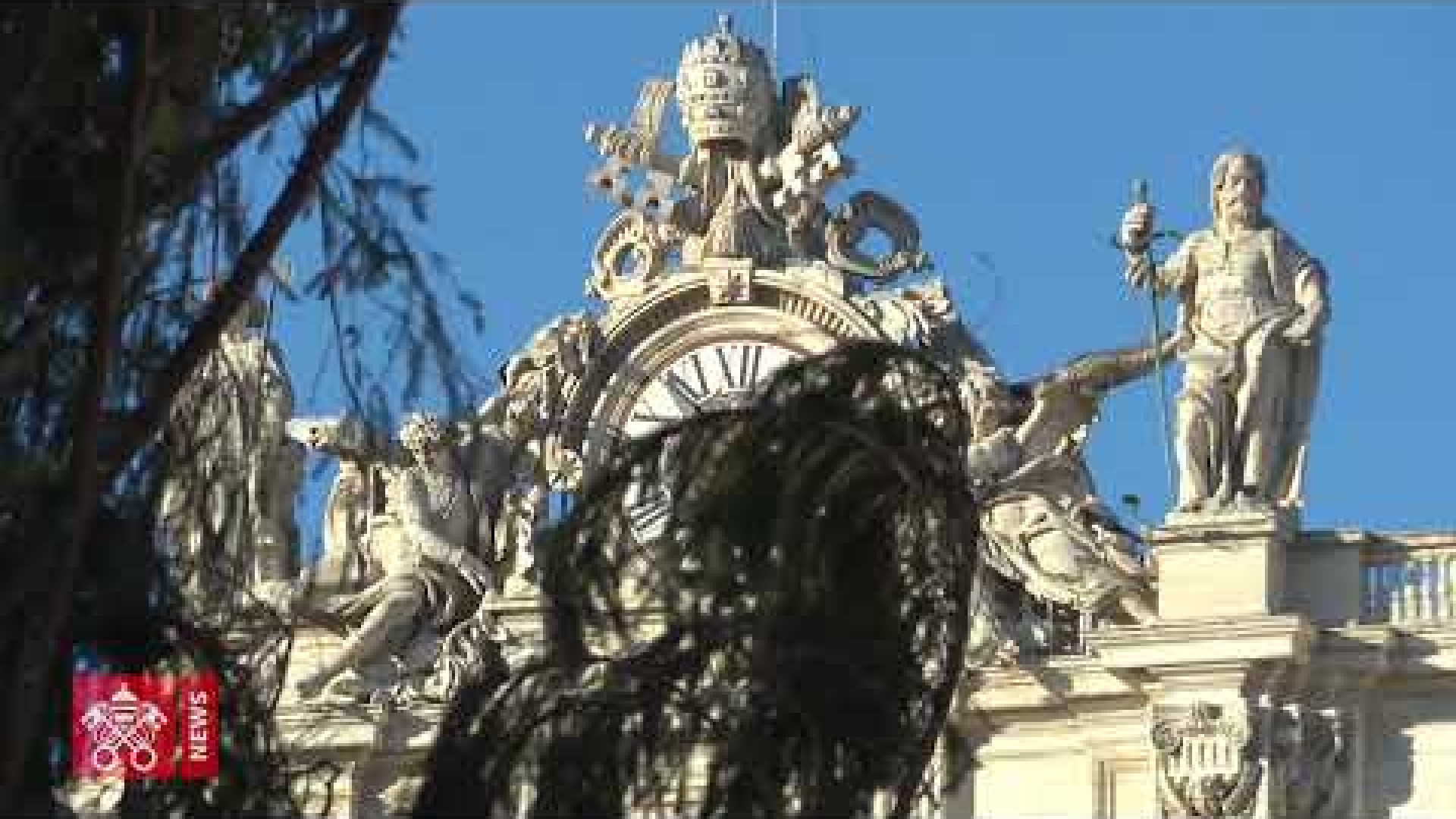 Immagine di L'albero di Natale arriva in Piazza San Pietro