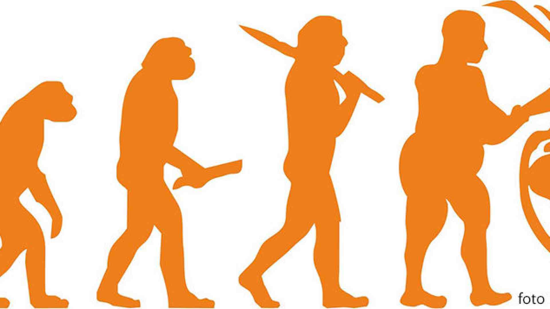 Immagine di Evolversi per non morire