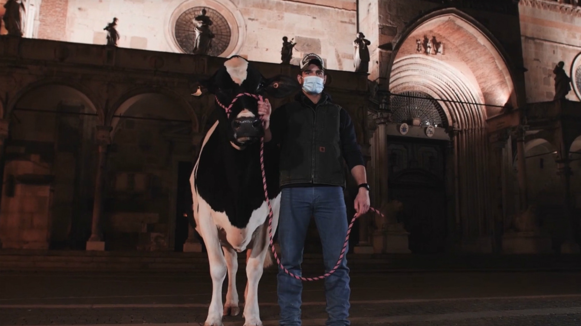 Immagine di Il veterinario... c’è