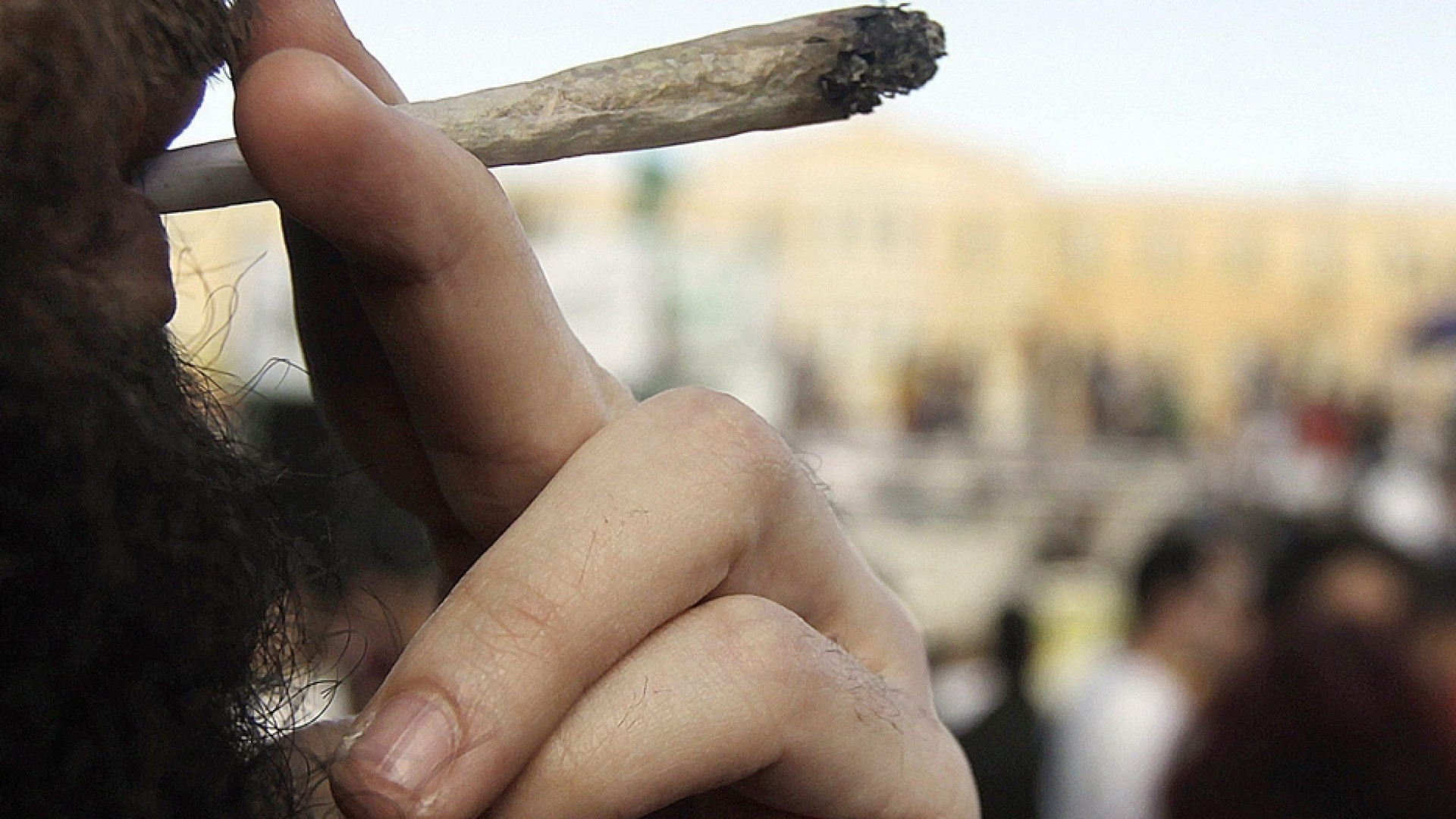 Immagine di LʼOnu sulla cannabis: non è droga pericolosa