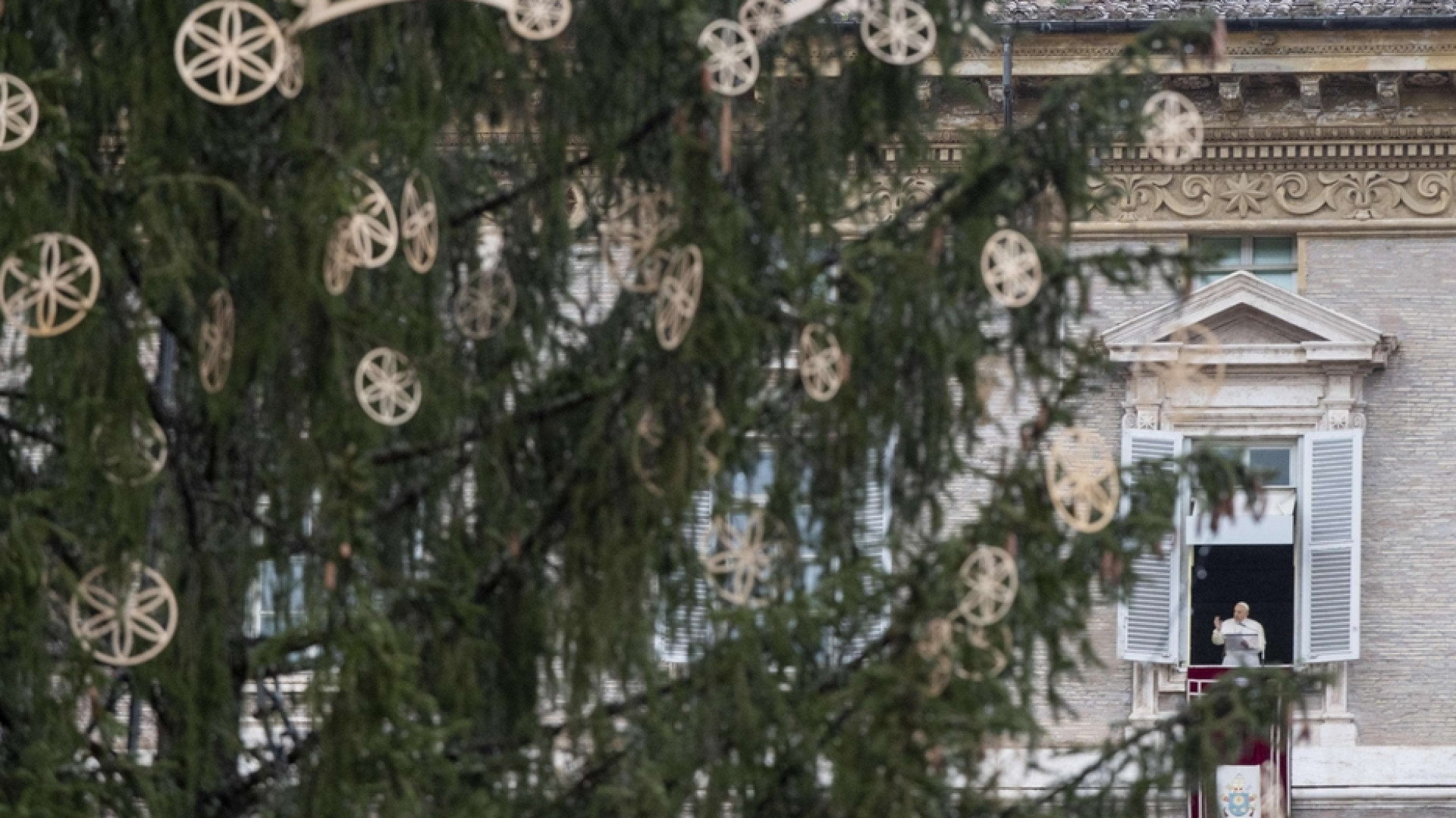 Immagine di Il Papa: presepe e albero di Natale, segni di speranza in tempi difficili