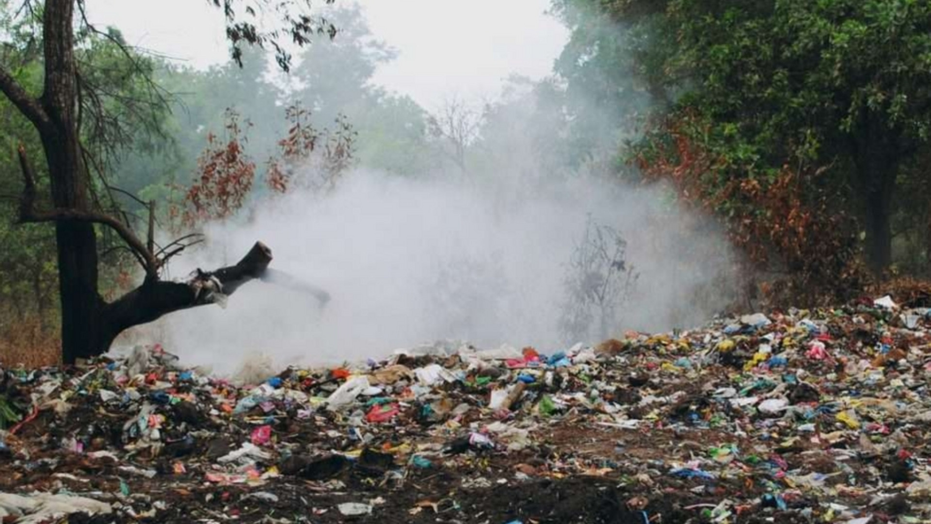 Immagine di Ecomafie, crescono i reati del 23%, affari dei clan per 20 miliardi