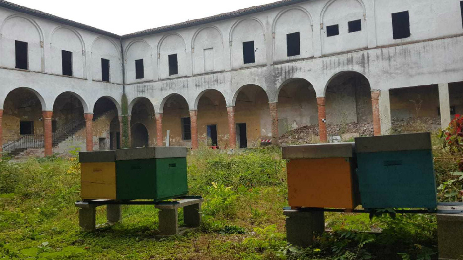 Immagine di “Miele Urbano” nel monastero