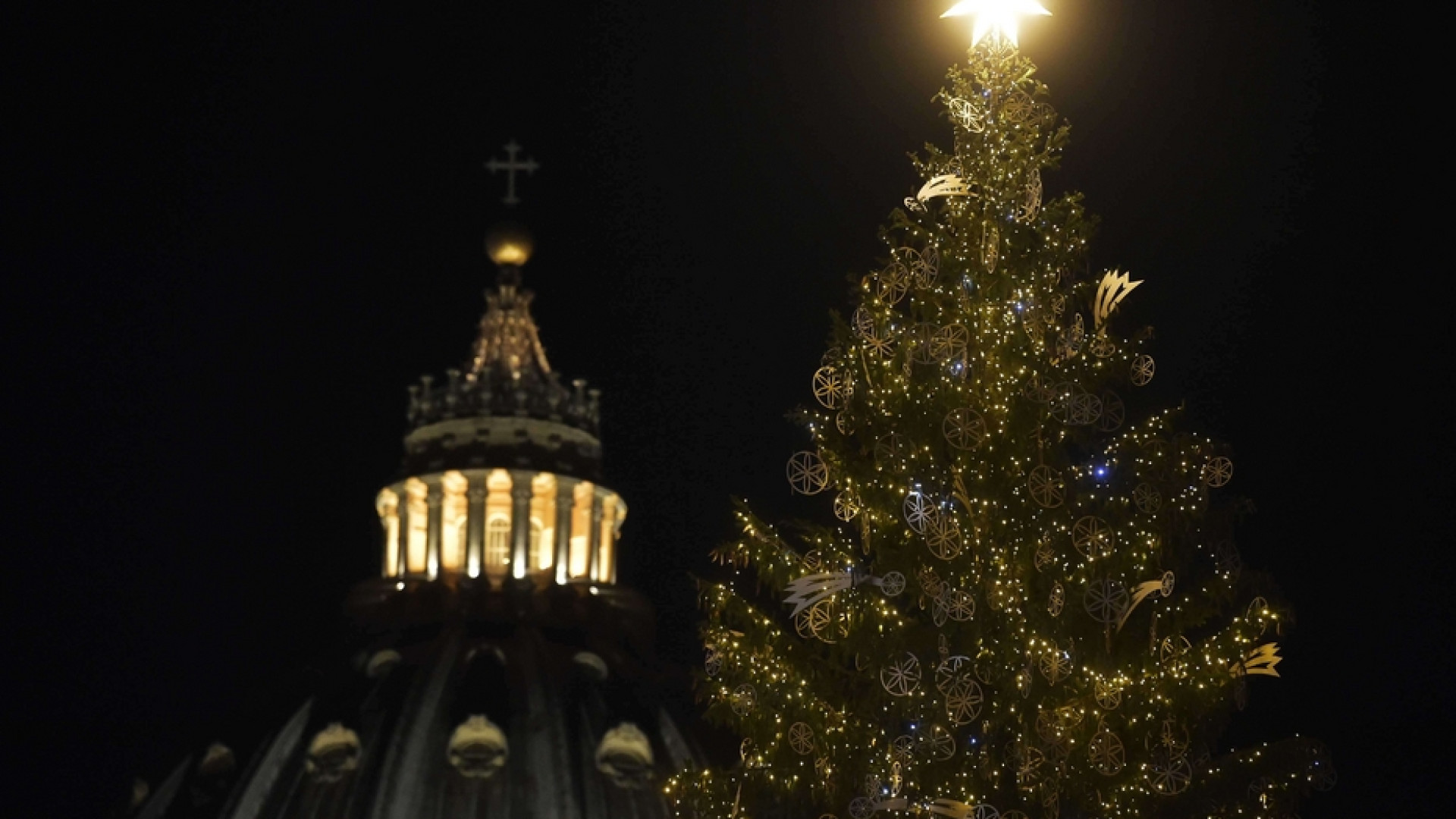 Immagine di Si accendono albero e presepe. Il Papa: segni di speranza