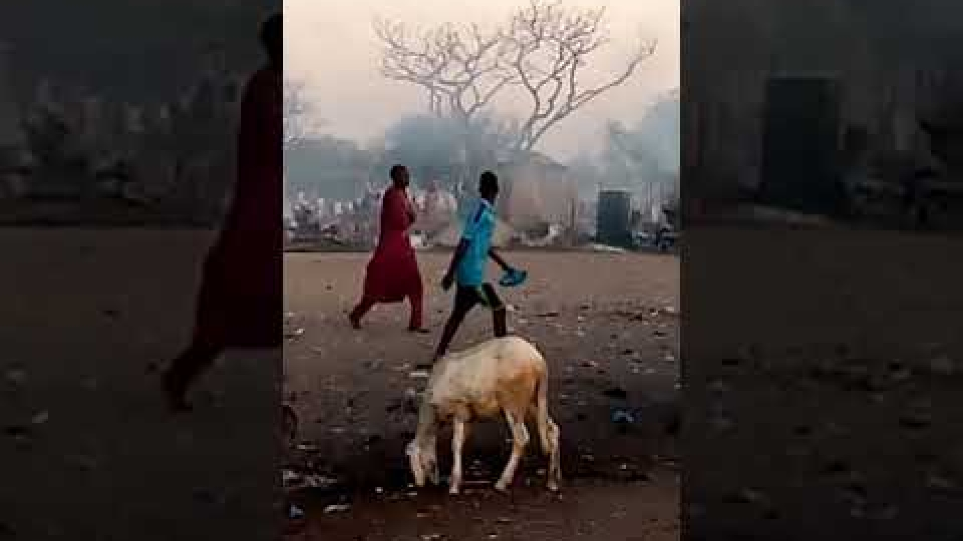 Immagine di Attentato di Boko Haram: 27 vittime. Erano profughi