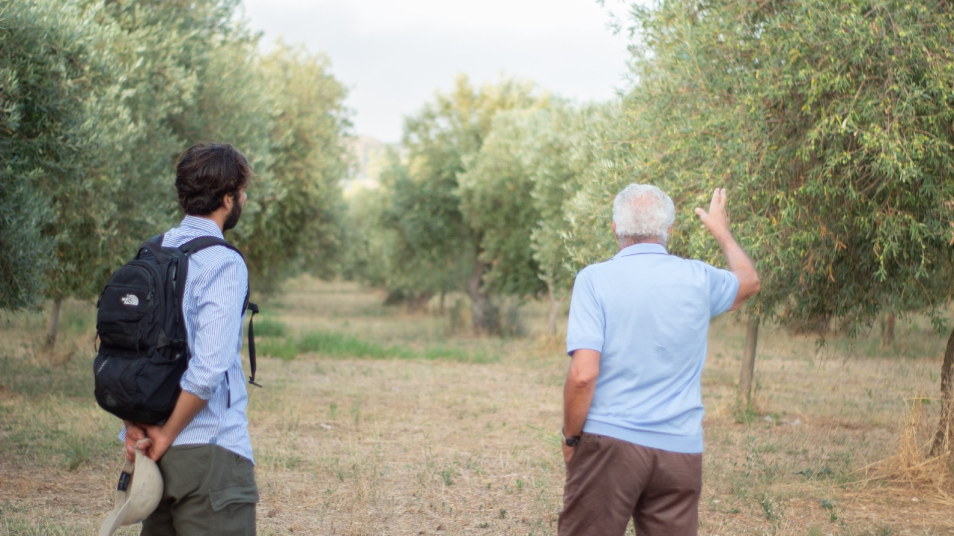 Immagine di La startup siciliana e l'olio "a impatto positivo"