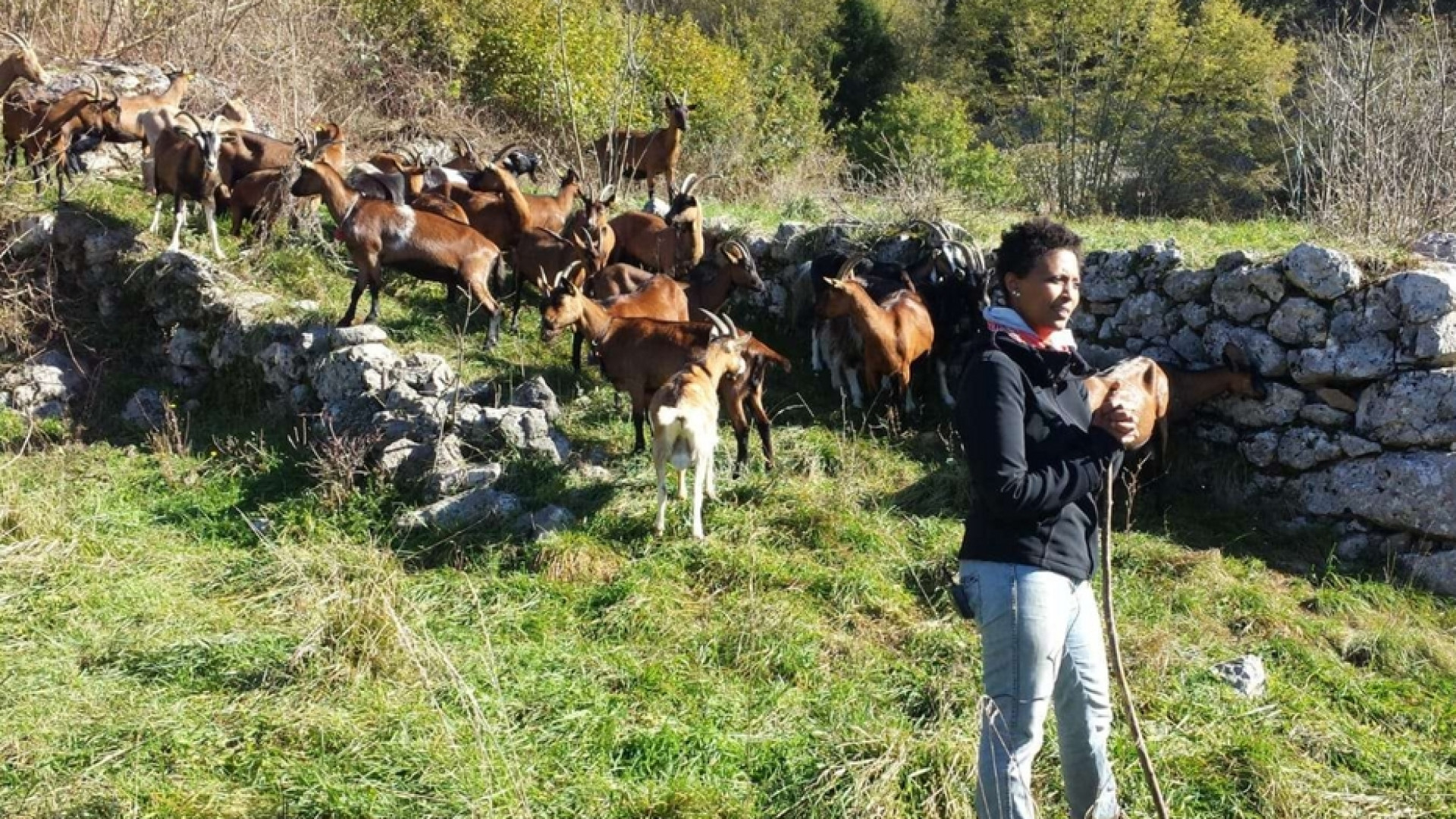Immagine di Confessa l'assassino di Agitu: è un suo dipendente