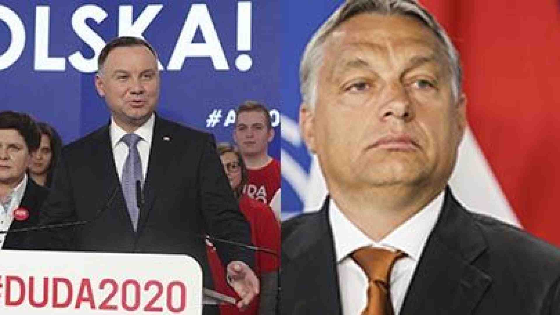 Immagine di Polonia e Ungheria sul banco degli imputati