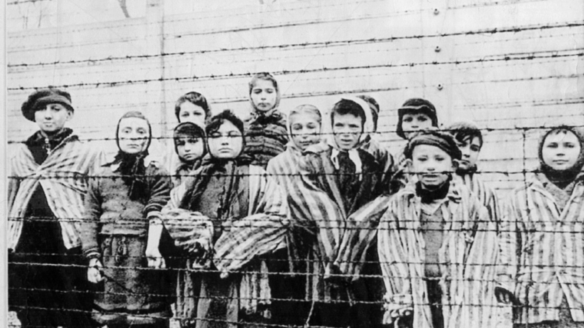 Immagine di I piccoli deportati riemersi dalla storia
