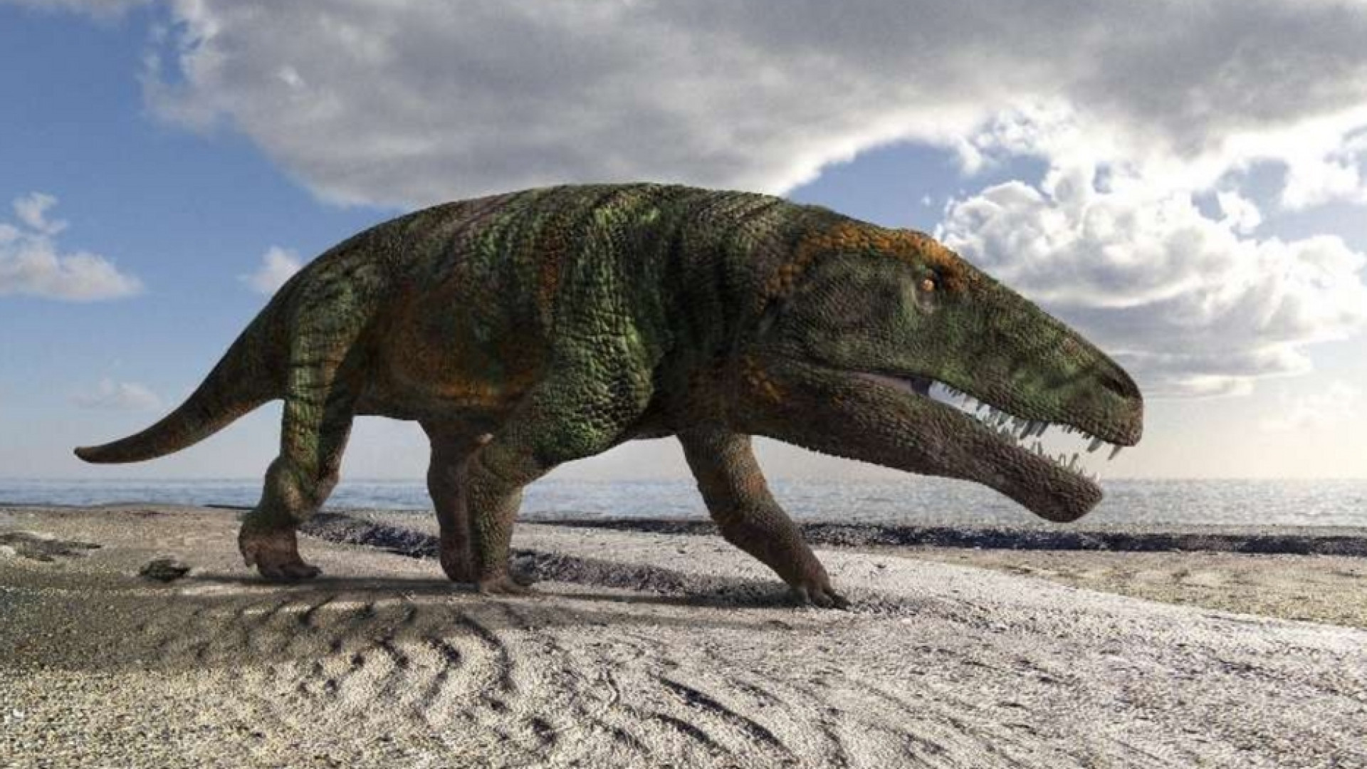 Immagine di Trovate sulle Alpi cuneesi le orme di un nuovo "coccodrillo" preistorico