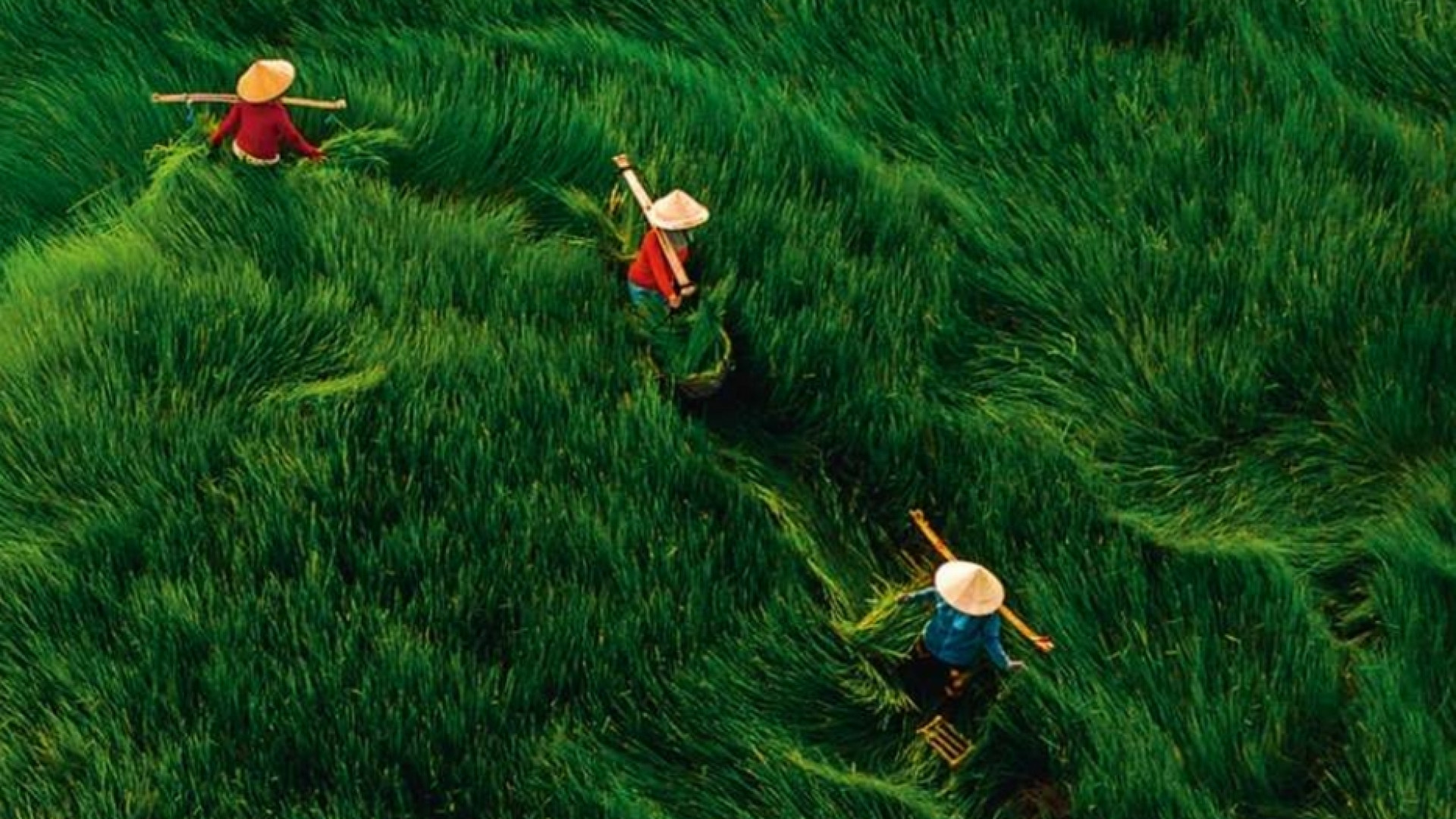 Immagine di Adamo dove sei? Tra la discarica e il Giardino