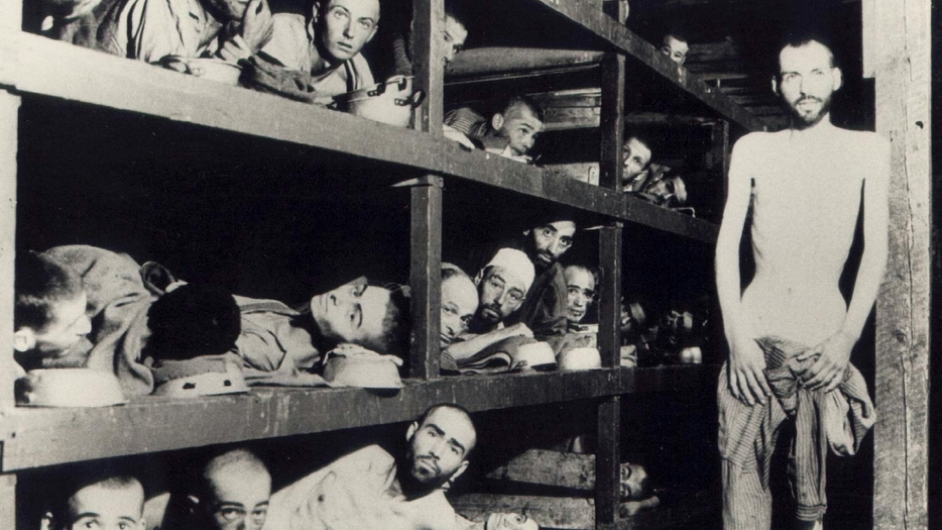 Immagine di Vive nella letteratura la memoria della Shoah