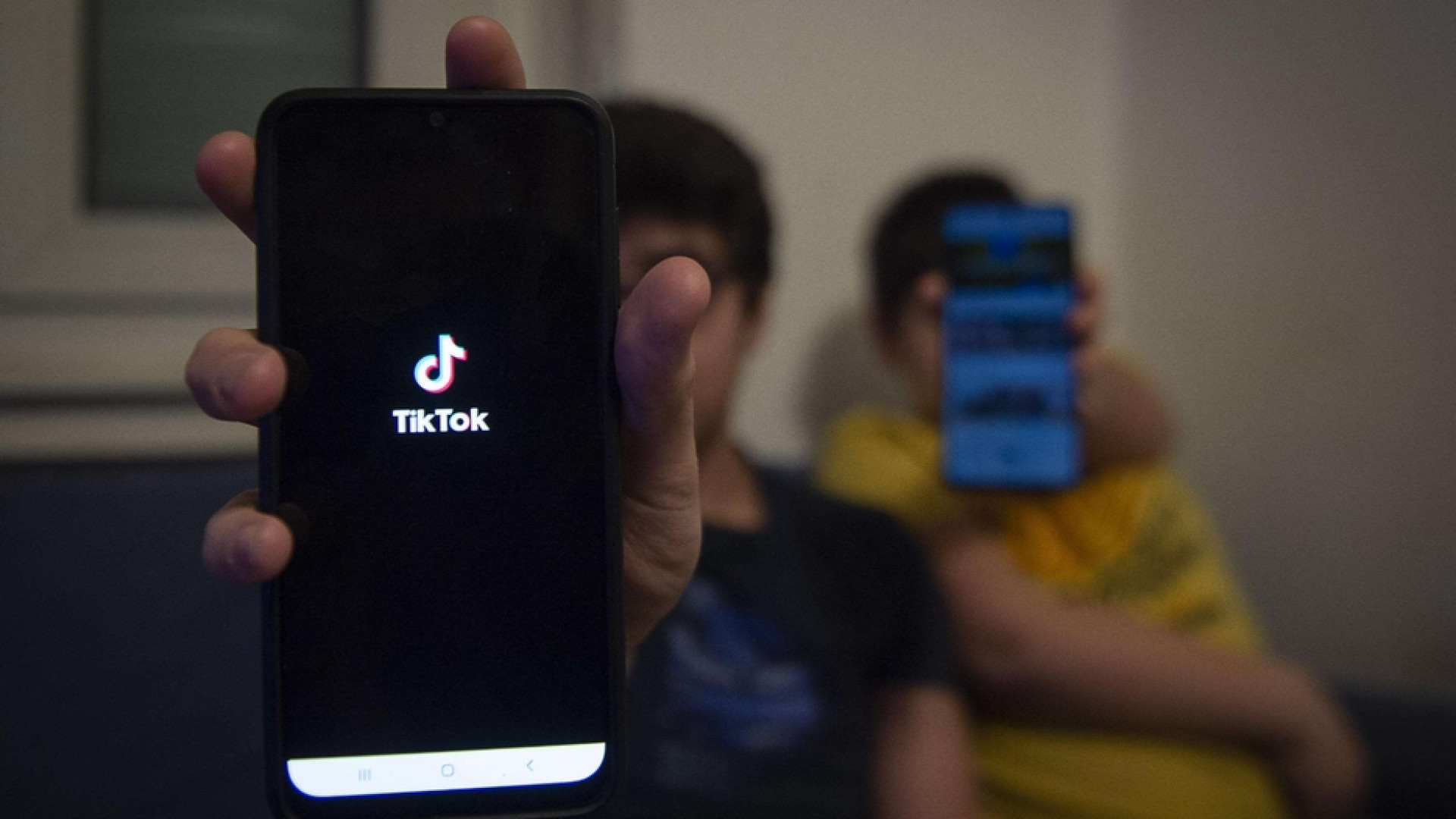 Immagine di Morte di Antonella, Garante della privacy: blocco uso dei dati per Tik Tok