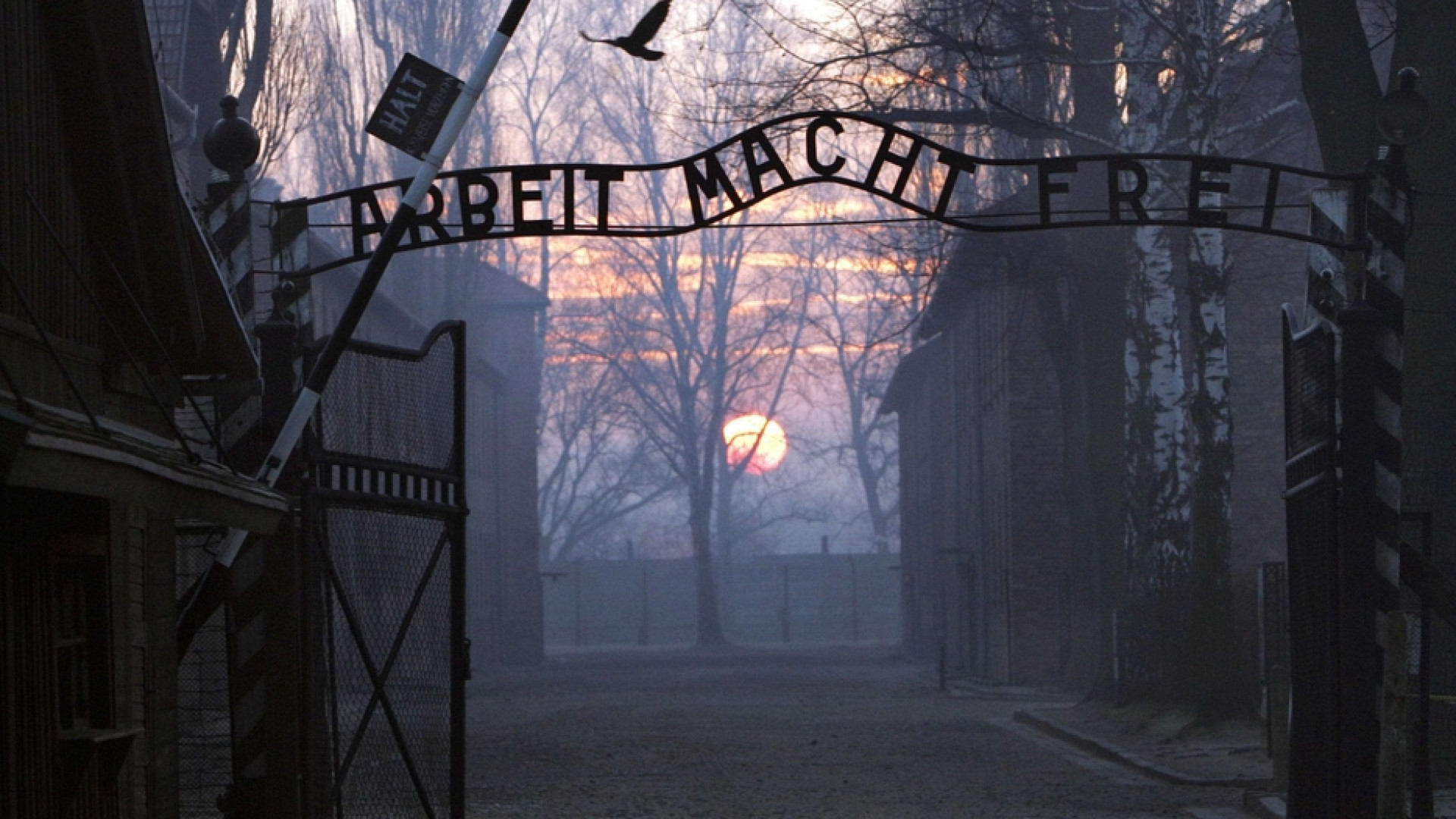 Immagine di Mai più genocidi nel mondo. Un nuovo impegno per l'Italia