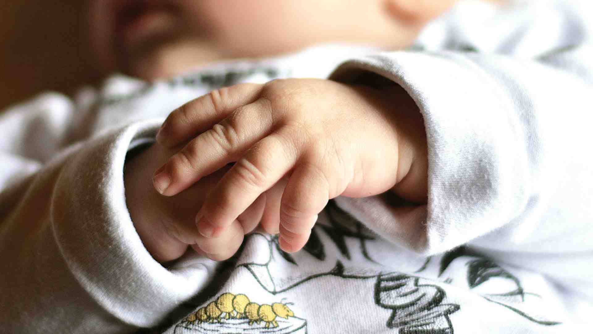 Immagine di La libertà a servizio della vita