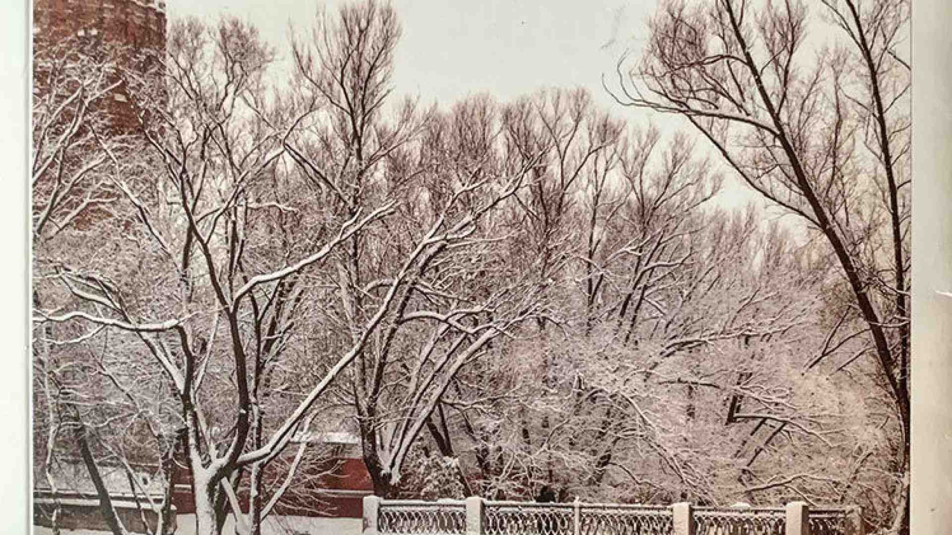 Immagine di Colognola ai Colli. Storia di Sandro tornato dalla Russia
